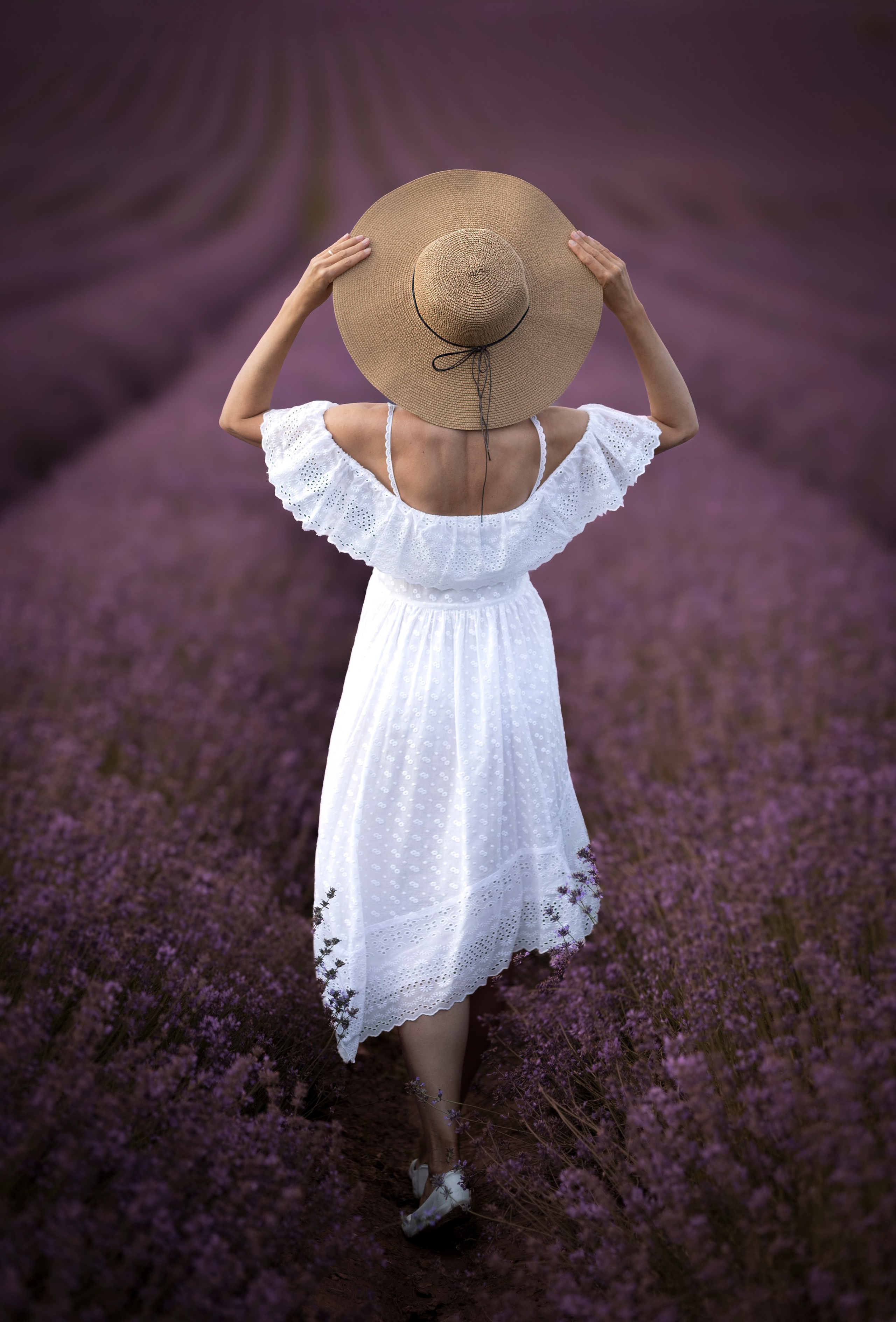 Lavendel. Photographer in Munich