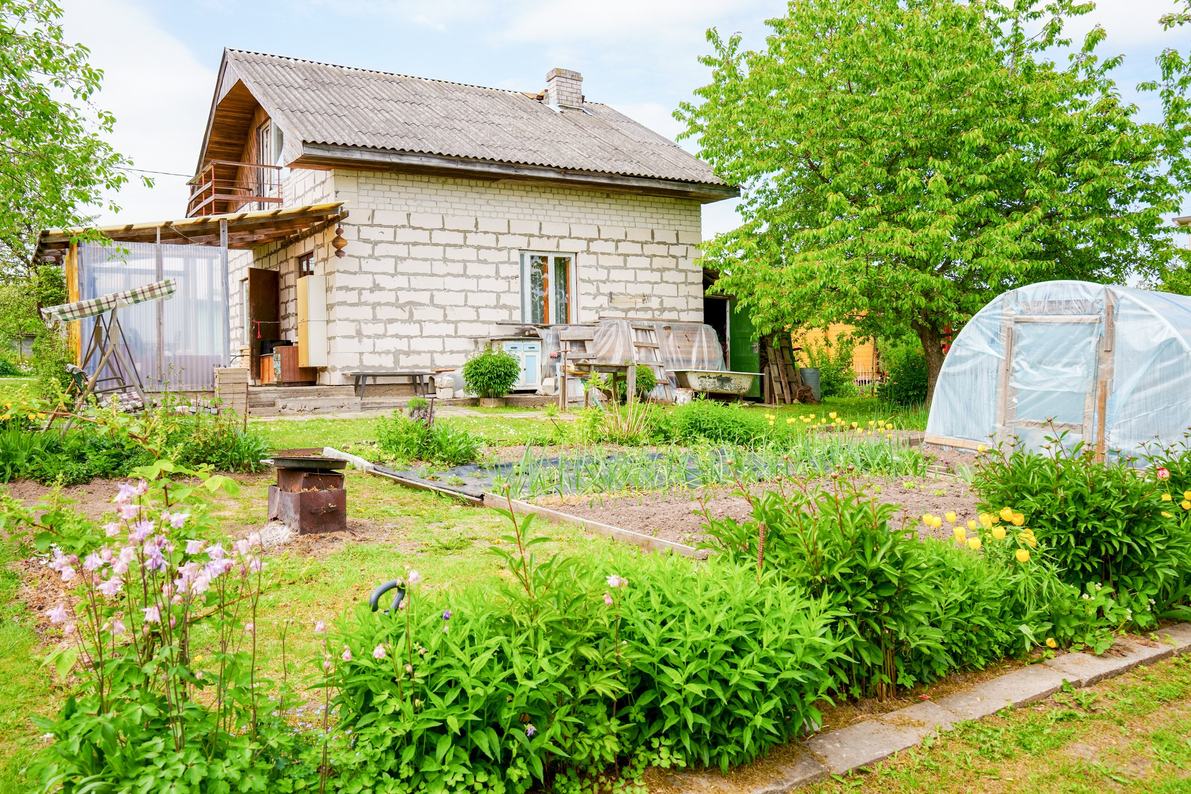 Pupojų sodų 3-oji. Elina Sapiega fotografė Vilniuje