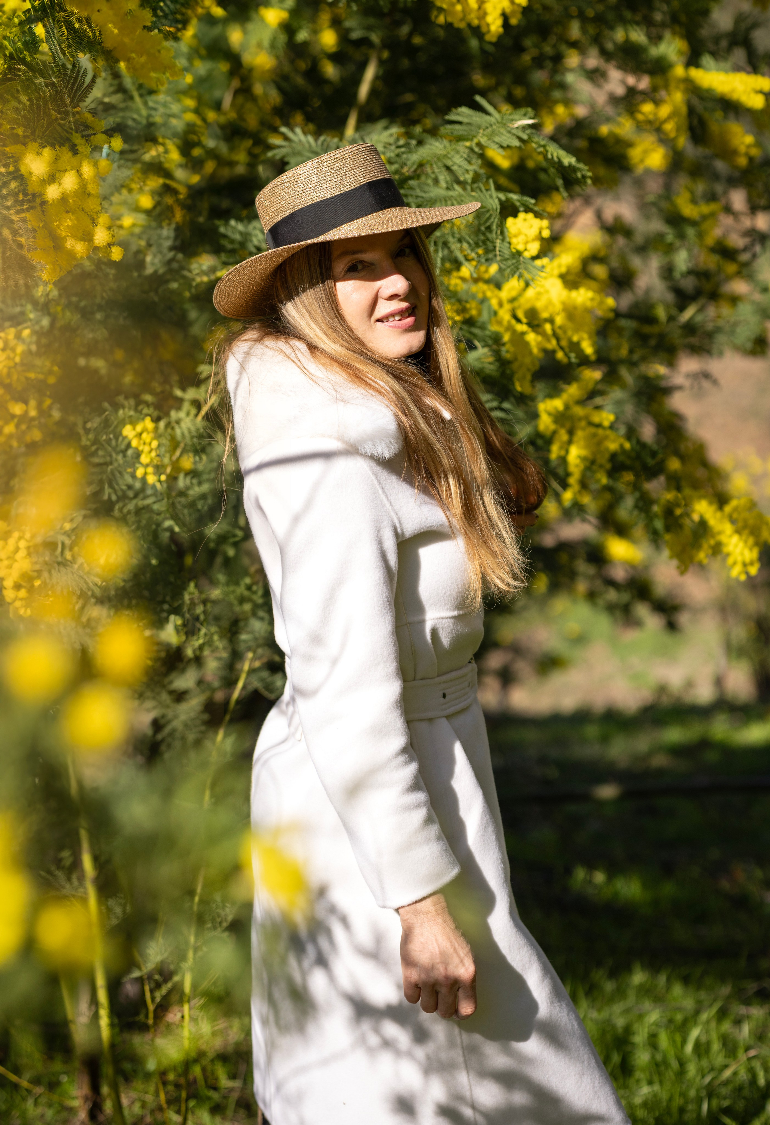 Mimosa. Photographer in Munich