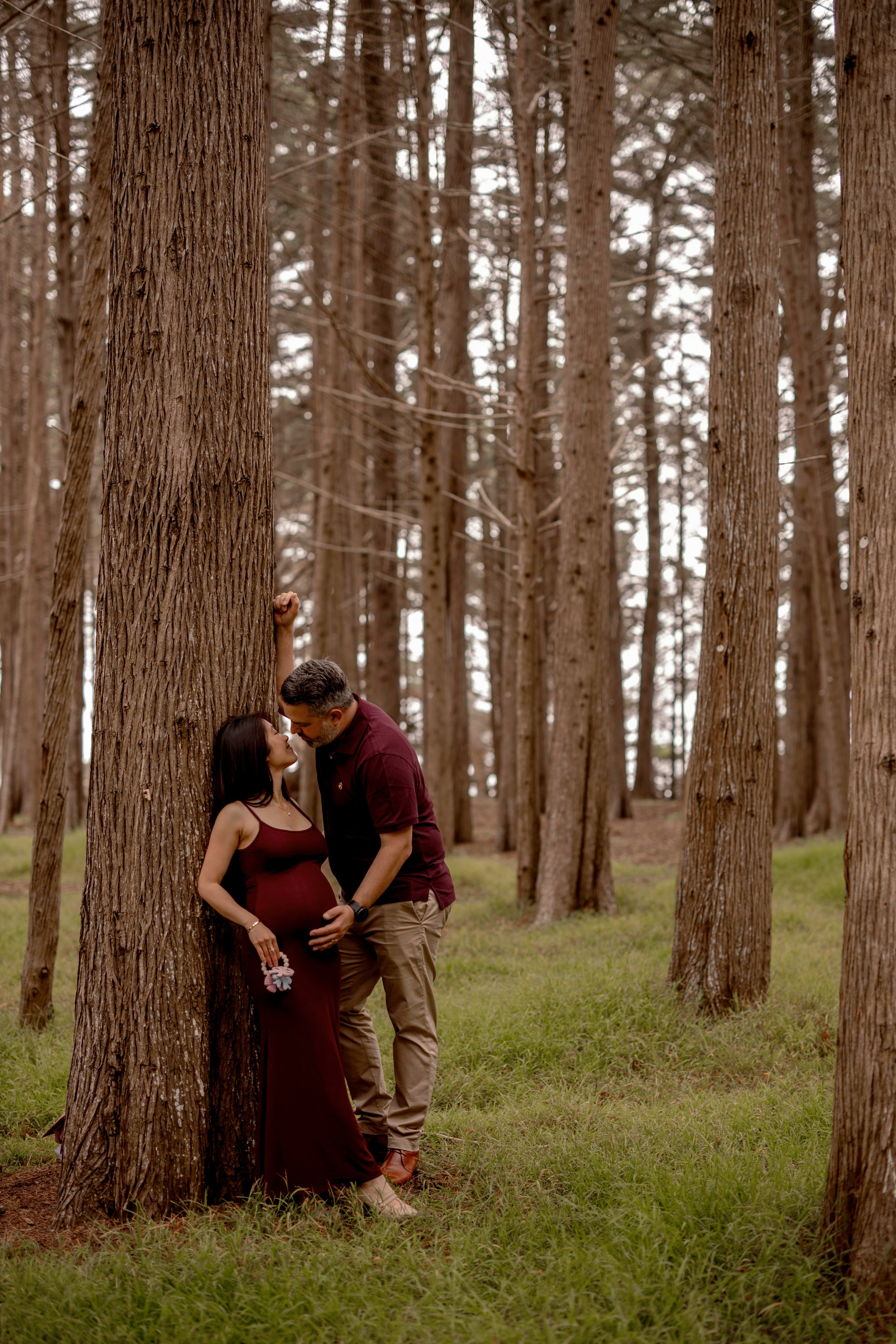 Forest. Bay Area Photographer: family, maternity, love story, wedding