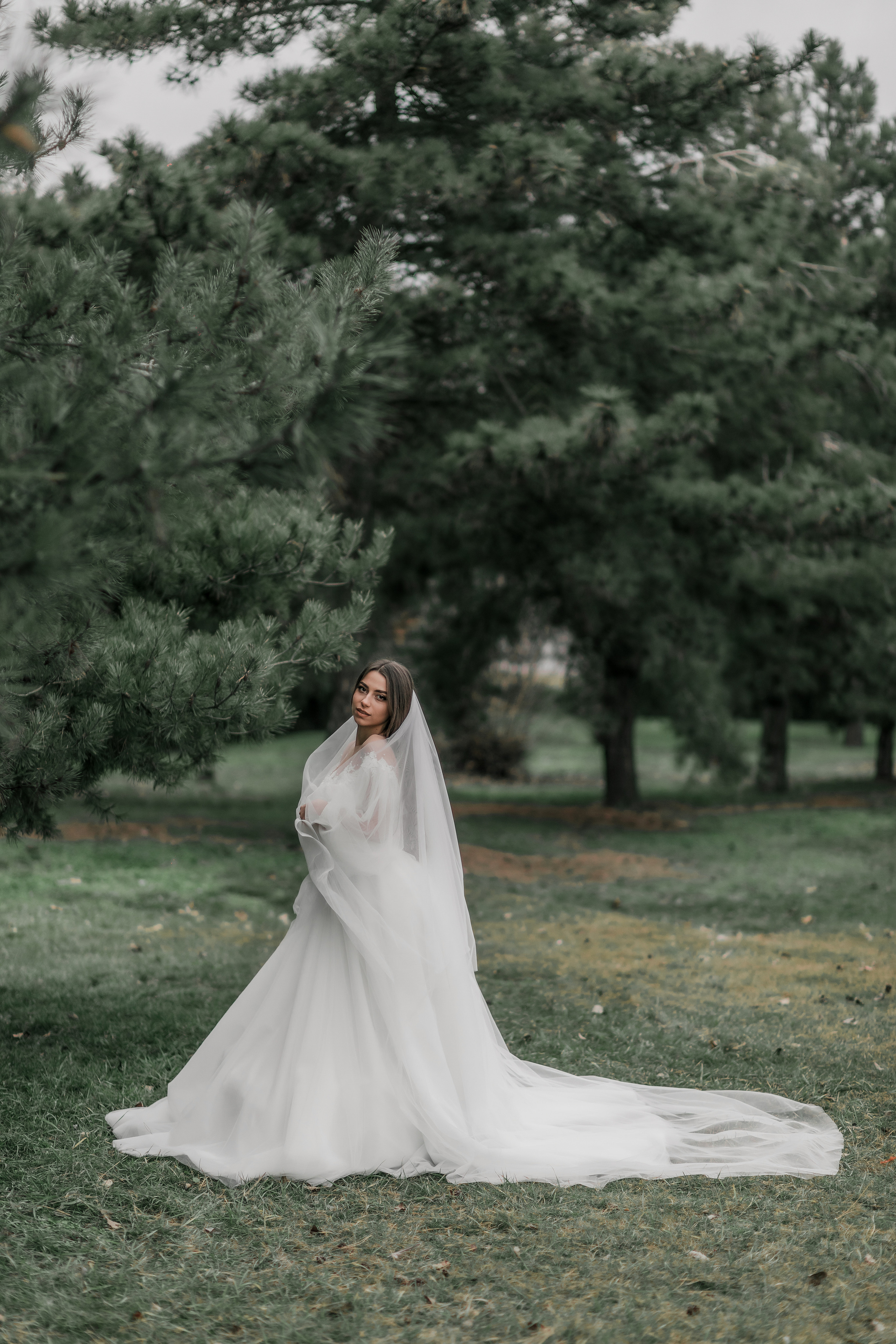 Лиана и Максим. Свадебный фотограф Карасов Анатолий на КМВ и весь Ставропольский край