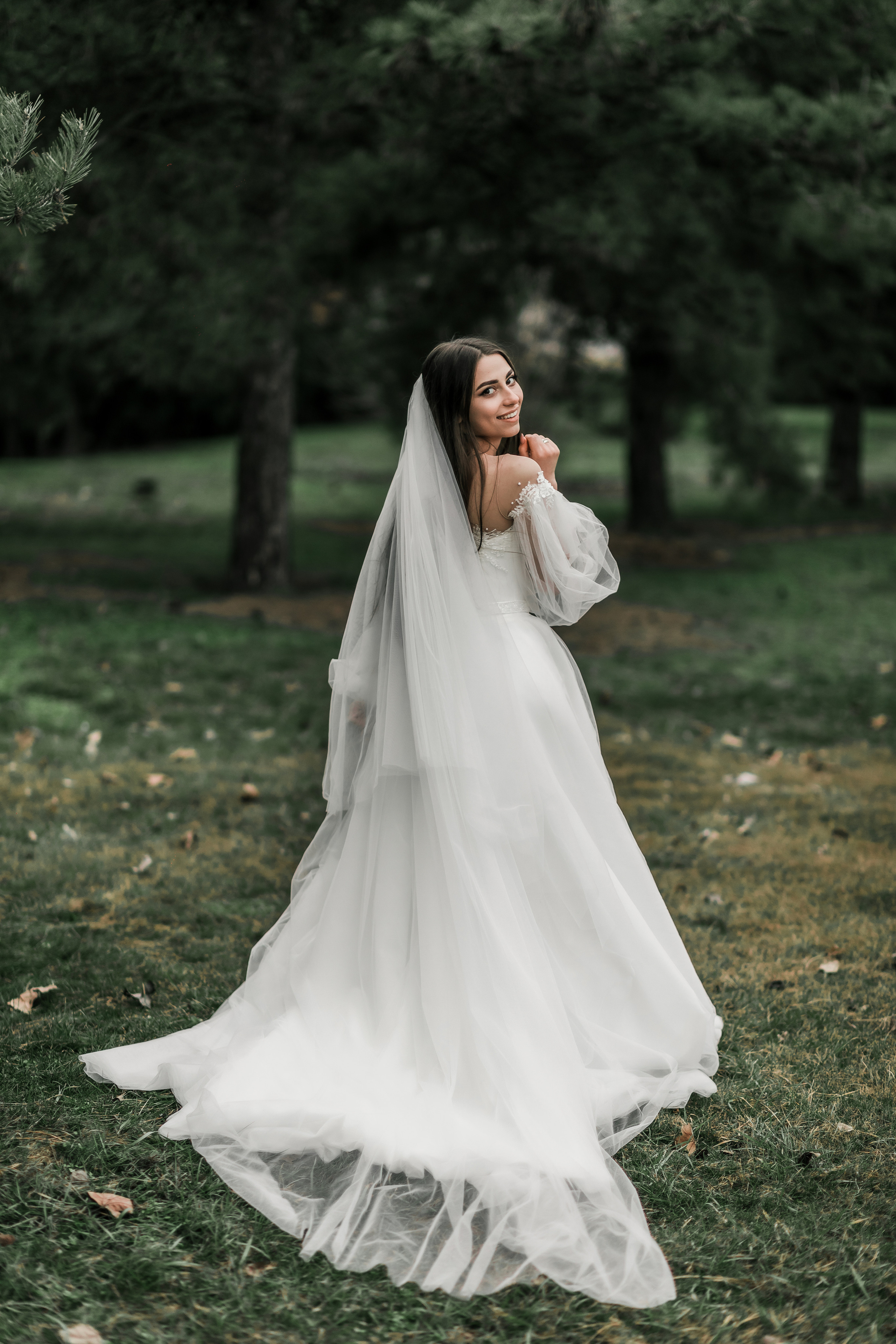 Лиана и Максим. Свадебный фотограф Карасов Анатолий на КМВ и весь Ставропольский край