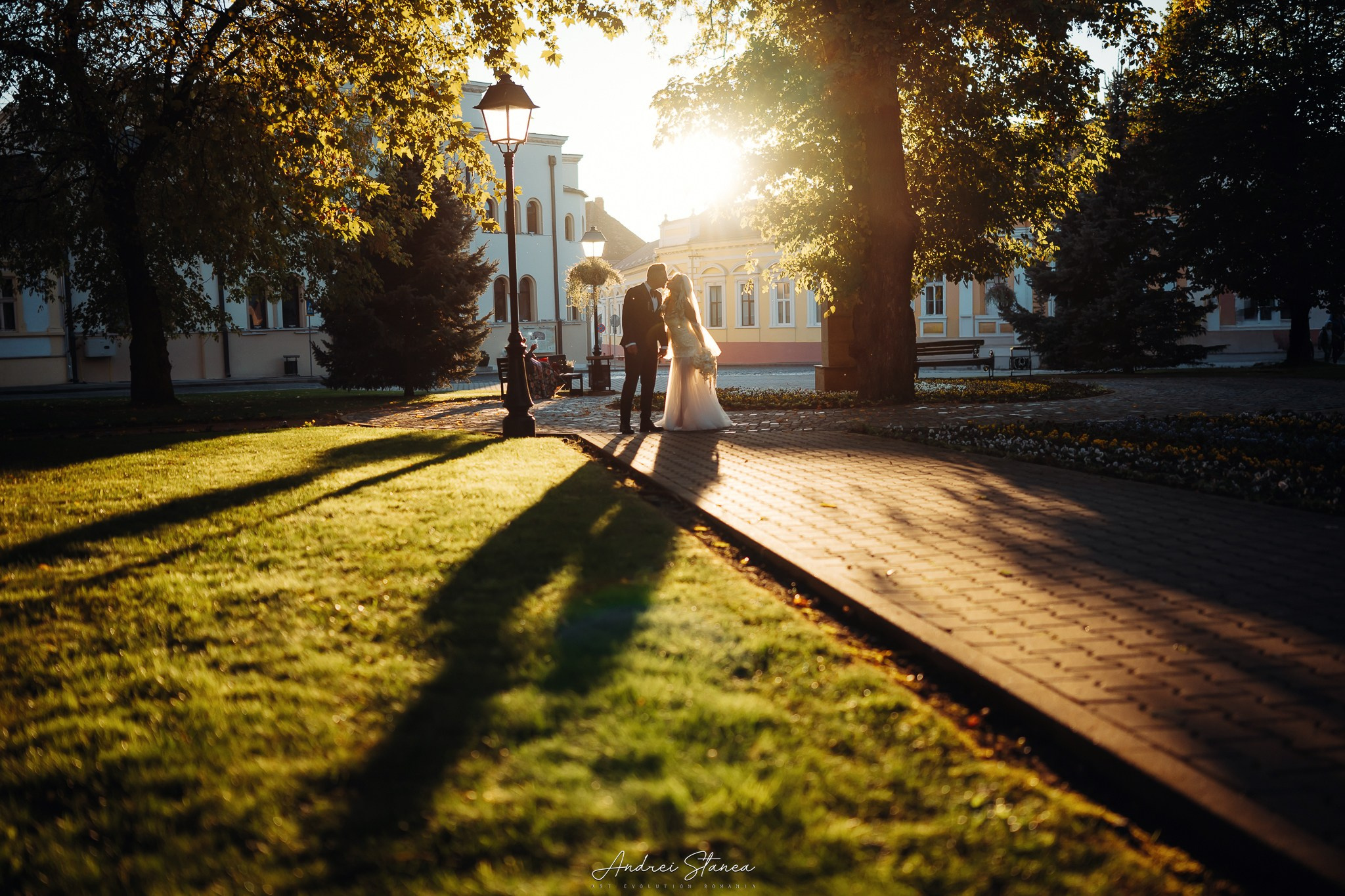 Portofolio. Andrei Stanea