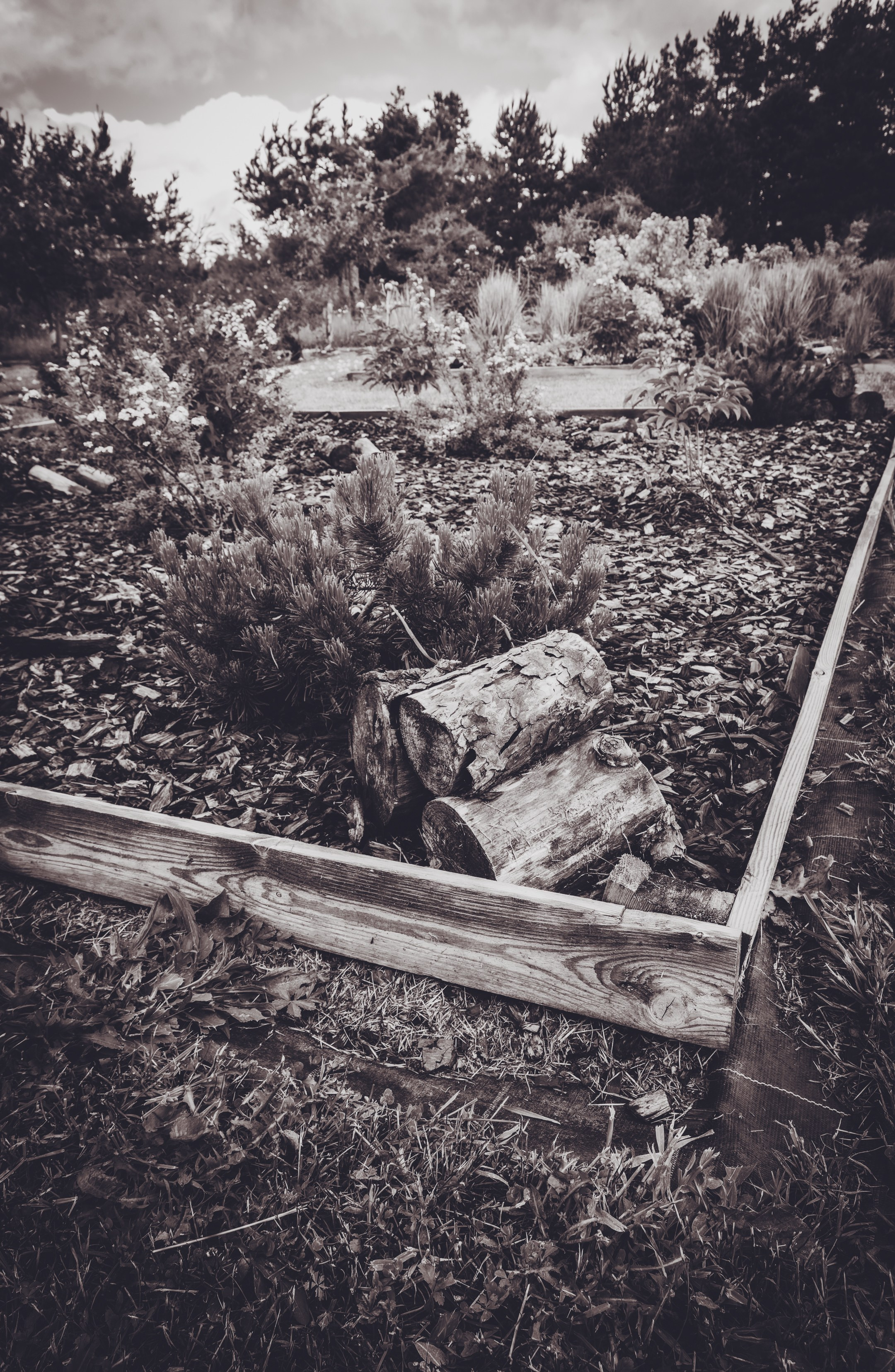 Saarema, reis. Nebula 25 — Fotod teie hingele