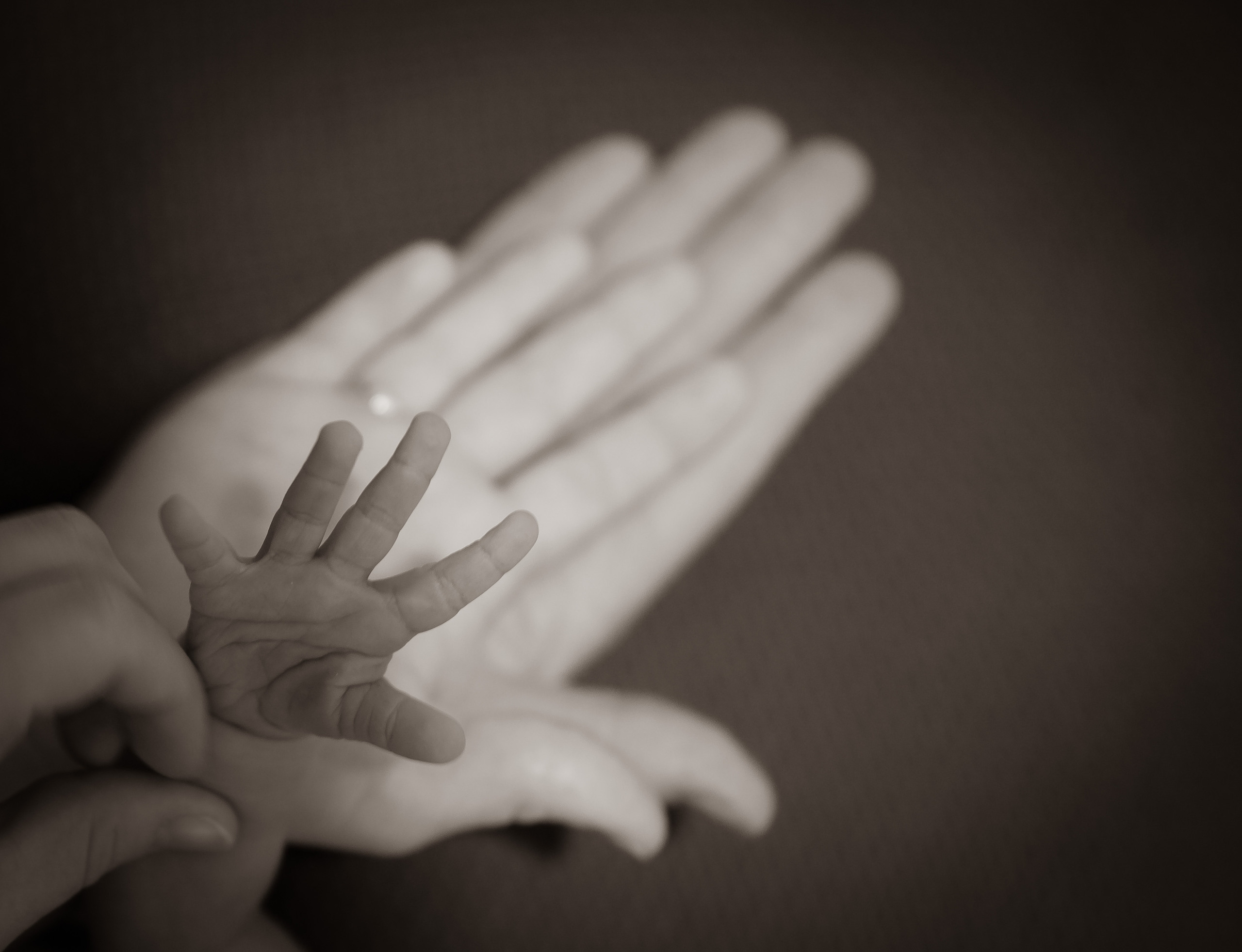 Новорожденные. Family, children, school photographer in Narva, Zoja Hussainova