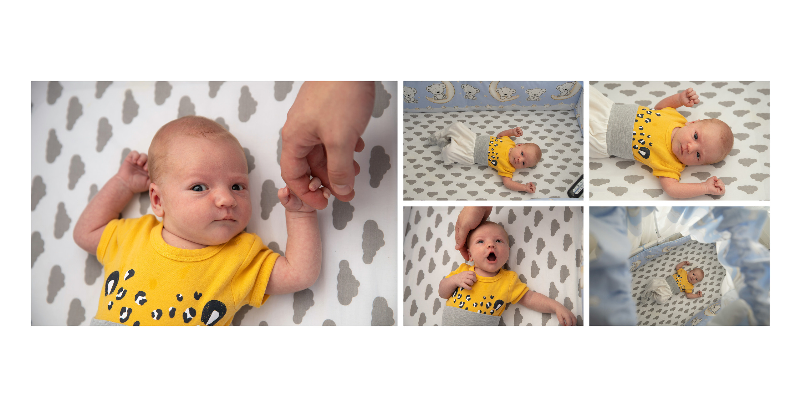 Новорожденные. Family, children, school photographer in Narva, Zoja Hussainova