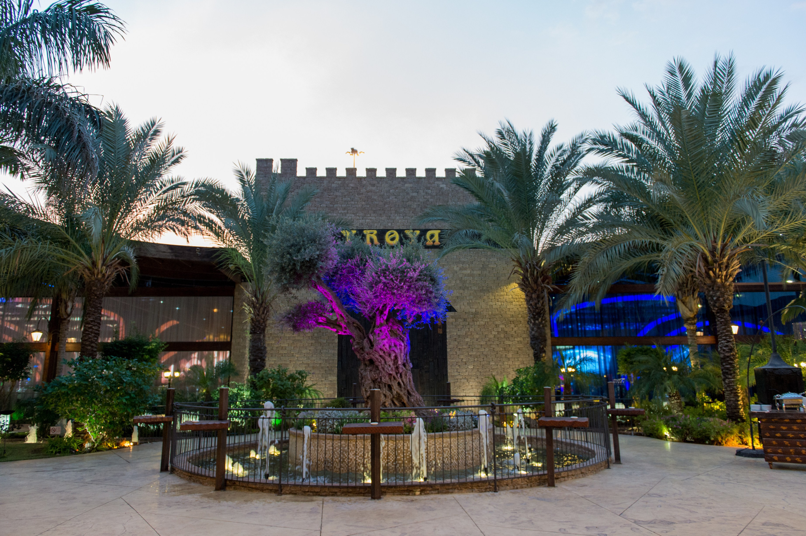 Stella & Elijahu. Wedding and events photographers Studio Shalom