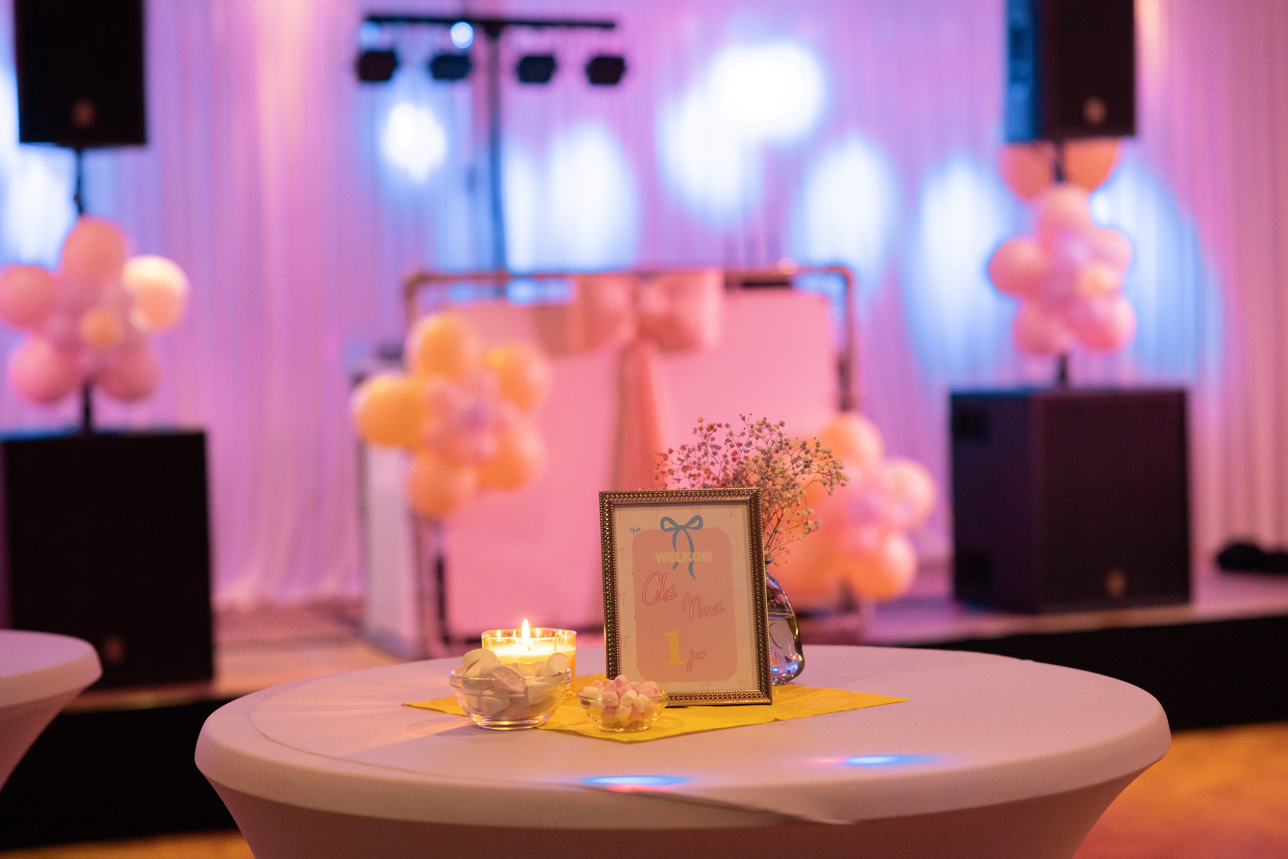 1 st Birthday. Portrait and Family Photographer in Netherlands