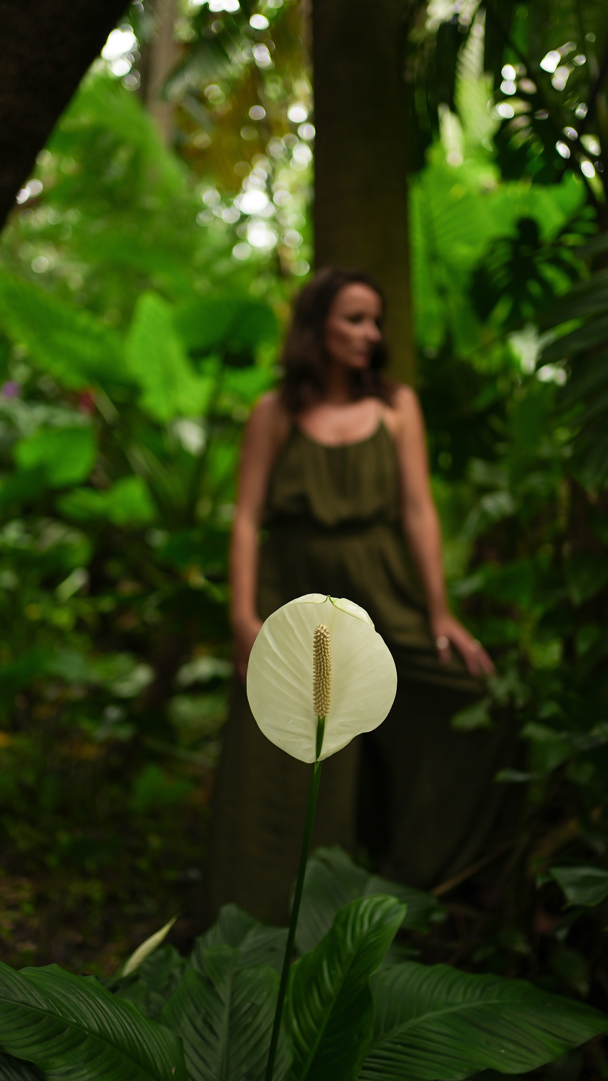 Personal. Tatiana Ketova