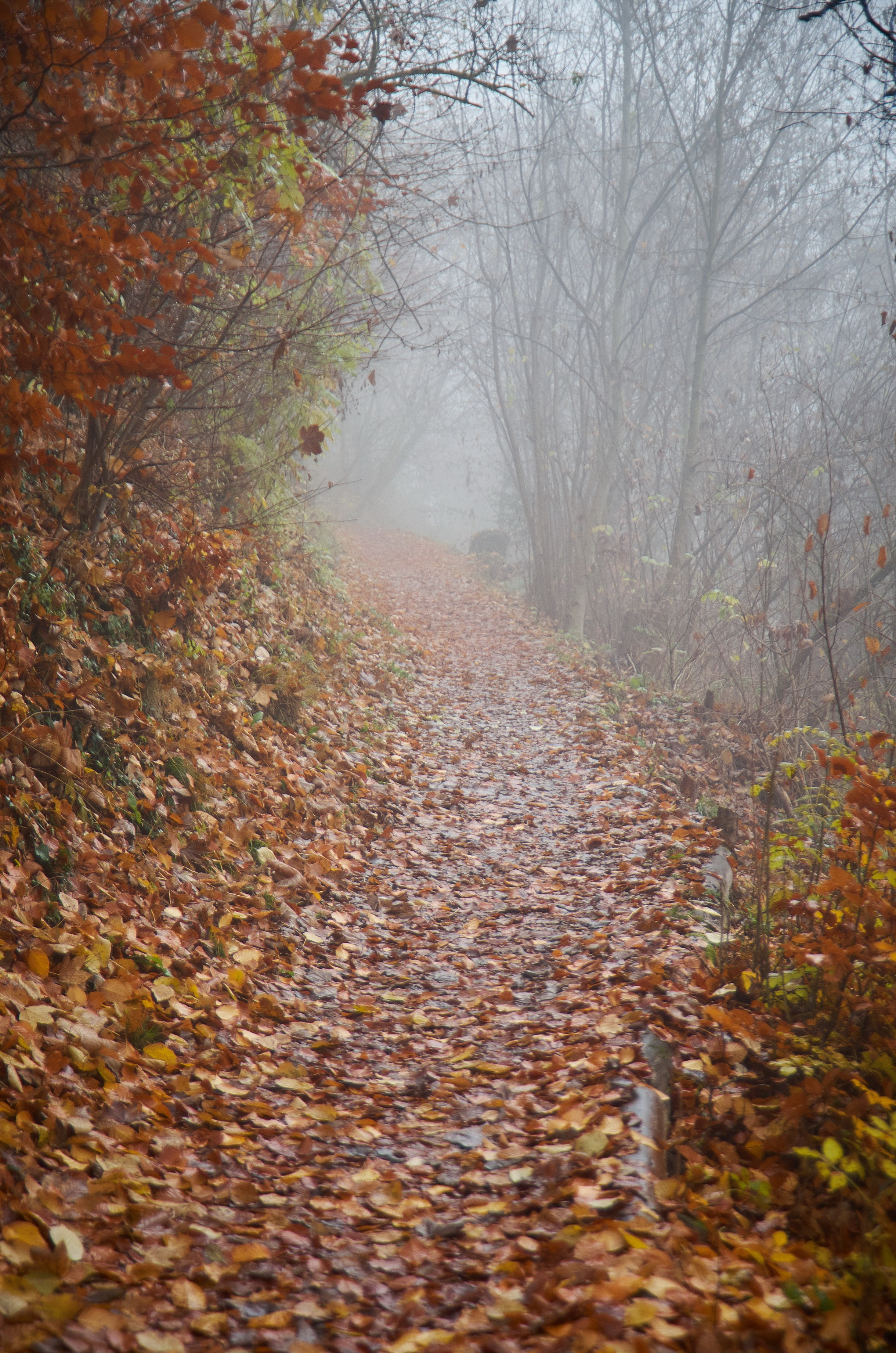 Landscapes by Yury Popkov. Yuri Popkov | Photographer