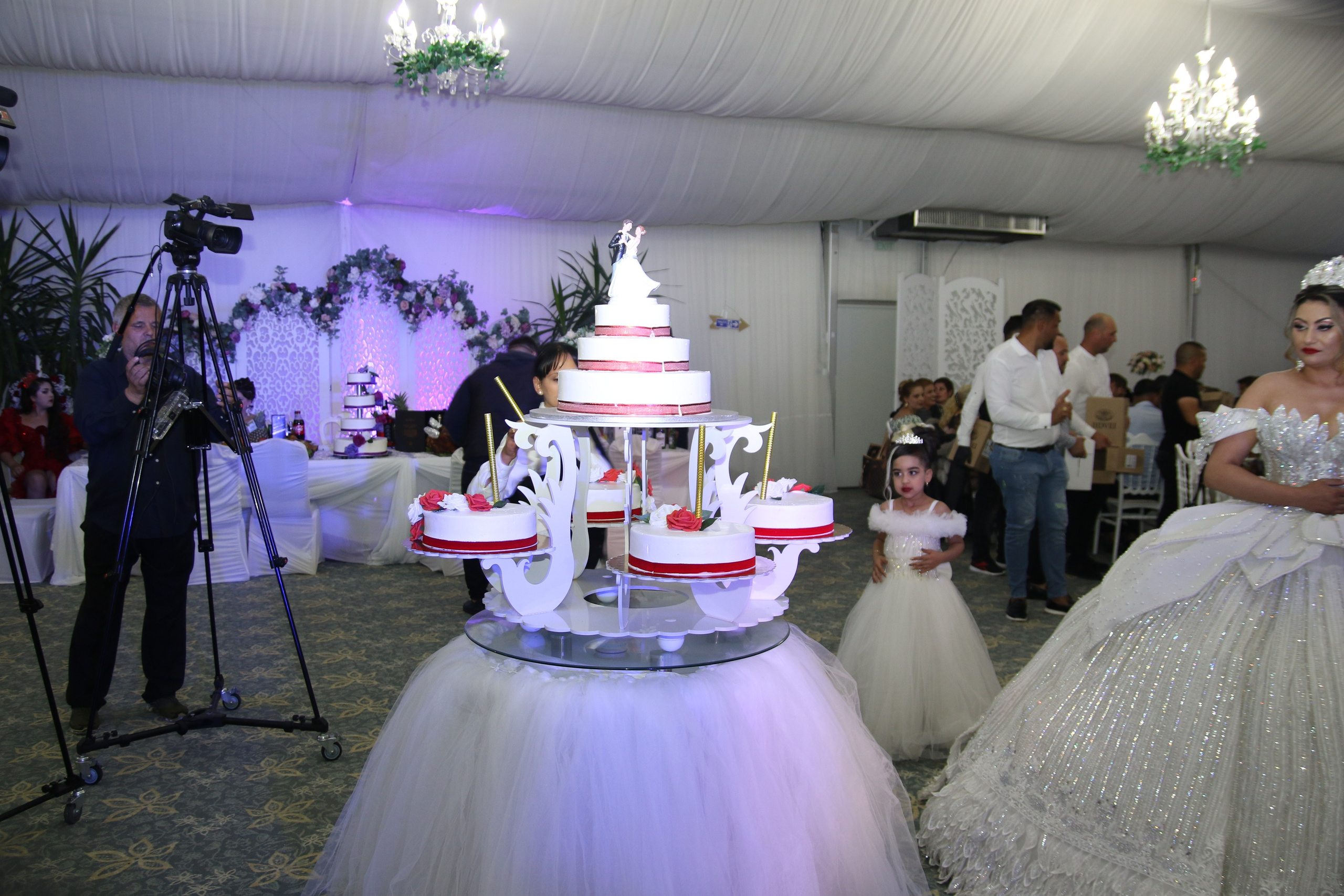 BORIS & ALINA. PETRU BYZO - family and children photographer in ROMANIA