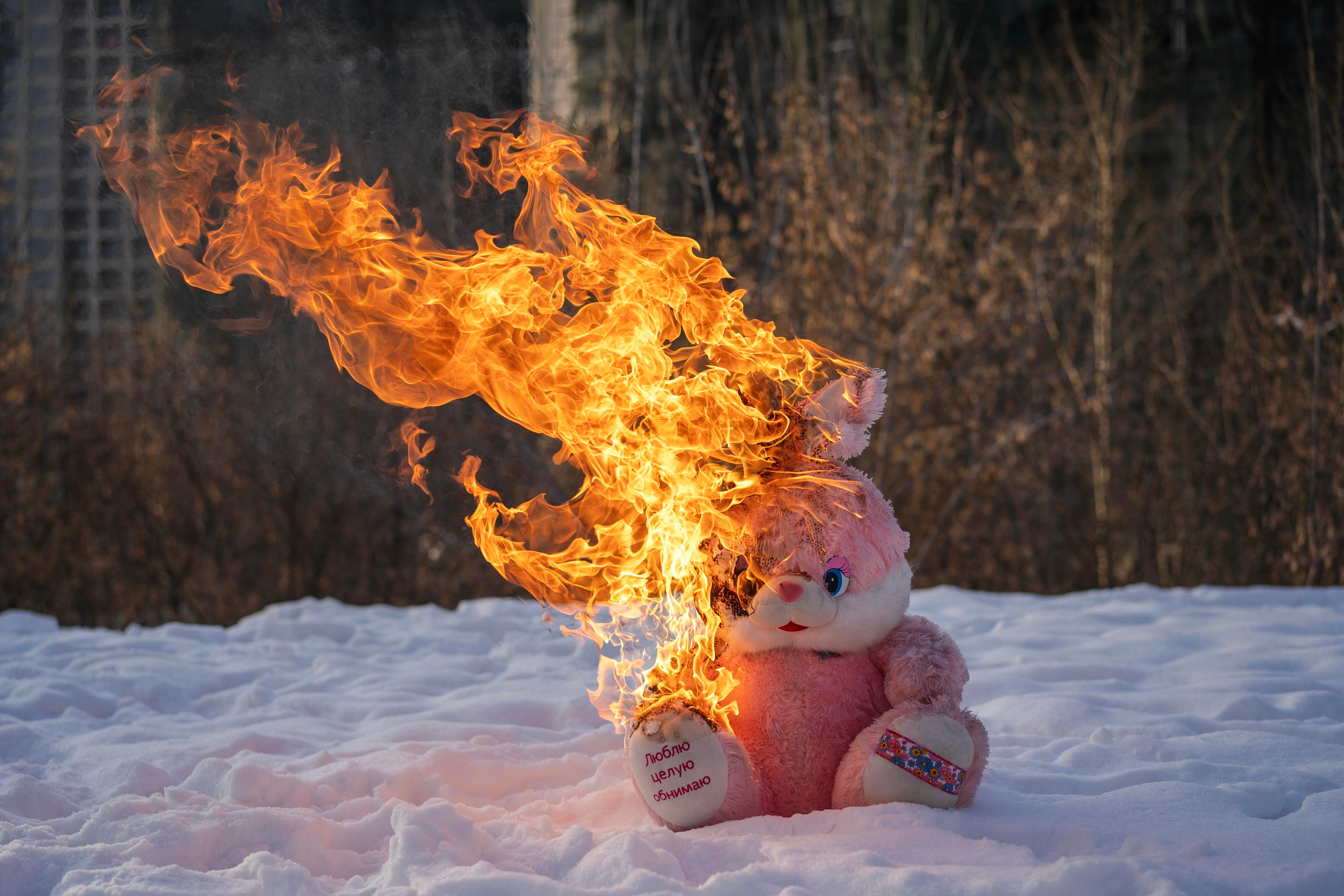 Photographer Stanislava Novgorodtseva. Stanislava Novgorodtseva — Photographer | Visual Artist | Educator