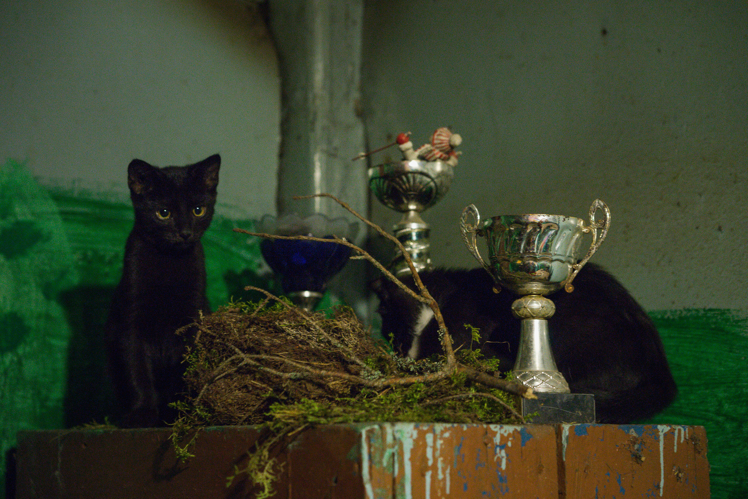 Photographer Stanislava Novgorodtseva. Stanislava Novgorodtseva — Photographer | Visual Artist | Educator