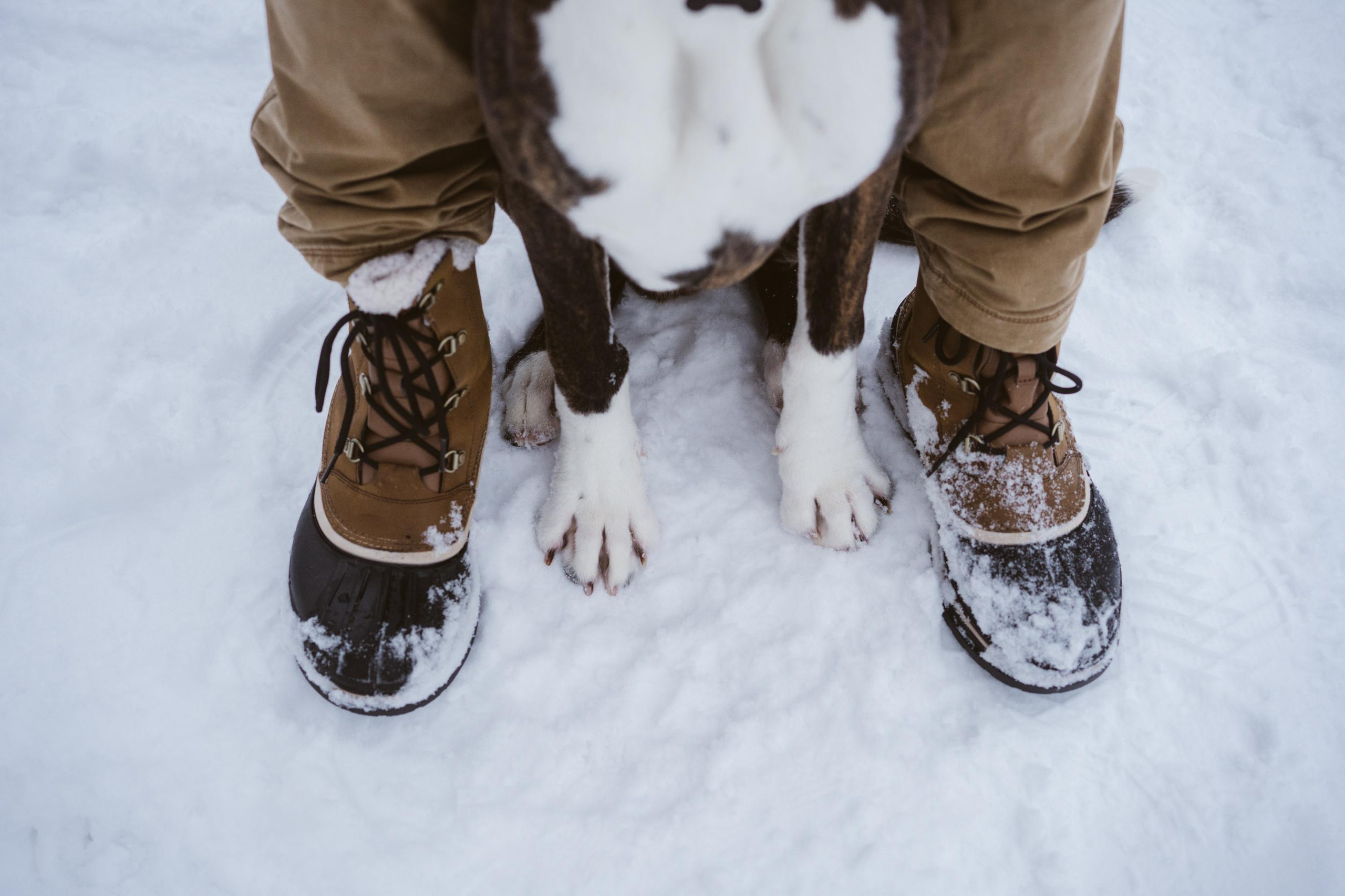 Photographer Stanislava Novgorodtseva. Stanislava Novgorodtseva — Photographer | Visual Artist | Educator