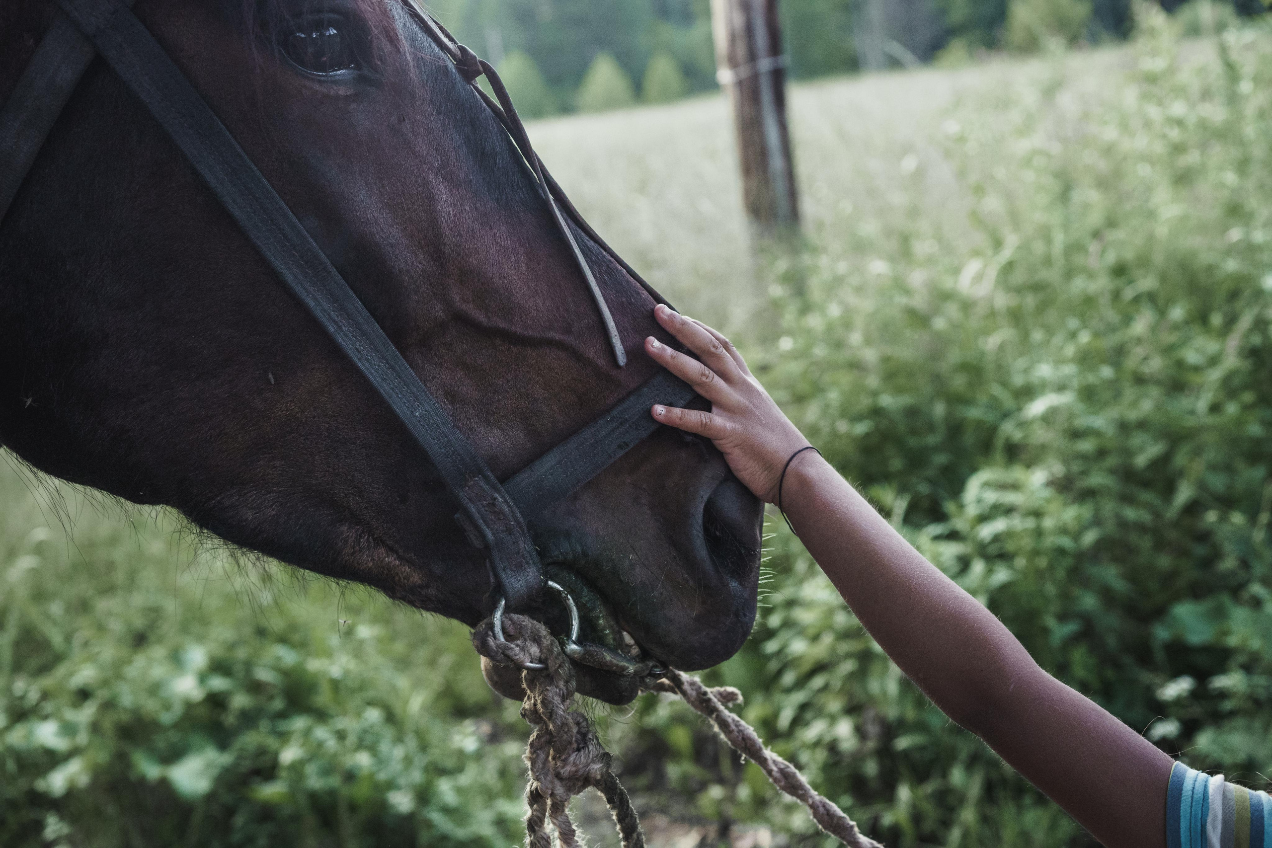 Ruska Roma. Stanislava Novgorodtseva — Photographer | Visual Artist | Educator