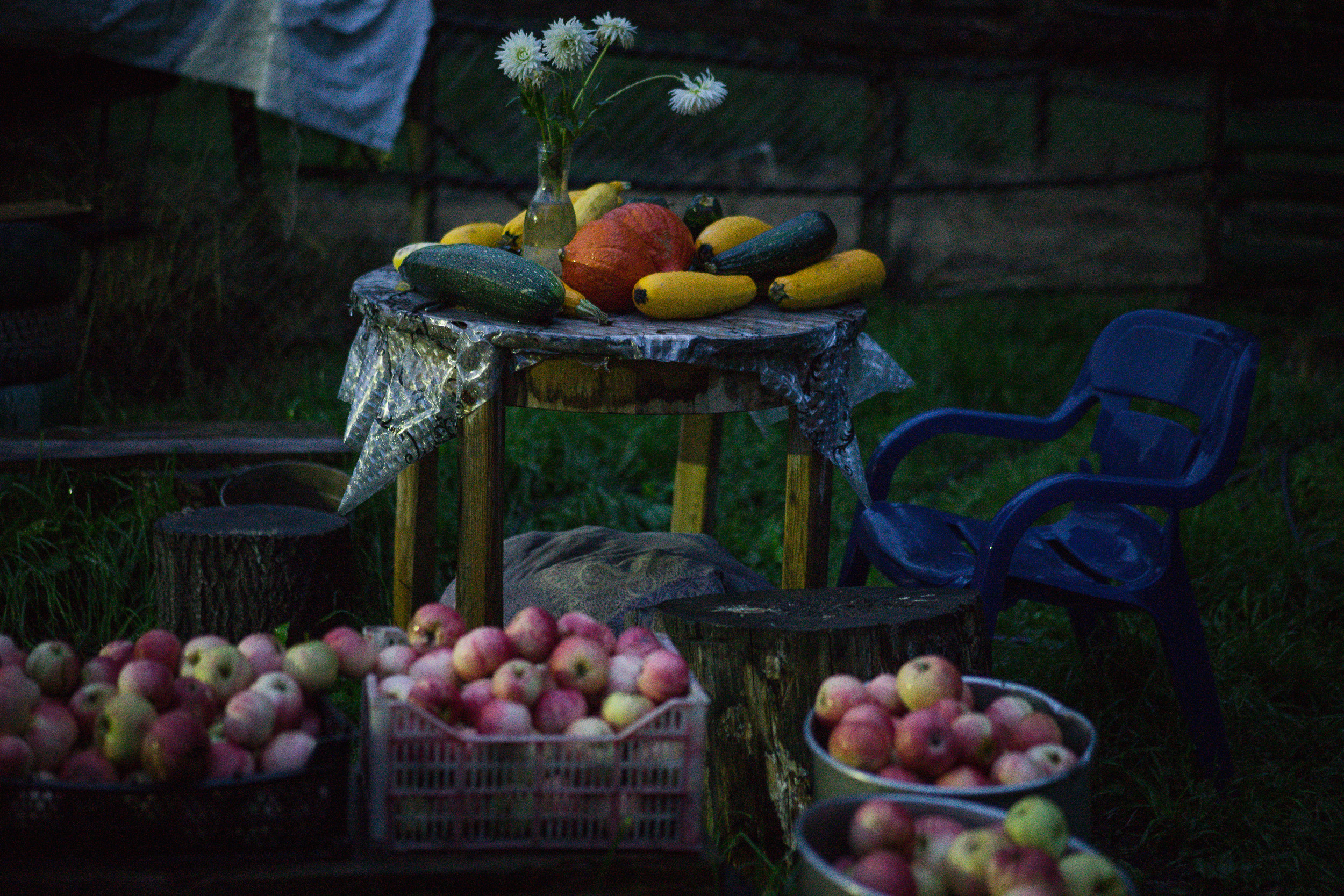 Photographer Stanislava Novgorodtseva. Stanislava Novgorodtseva — Photographer | Visual Artist | Educator