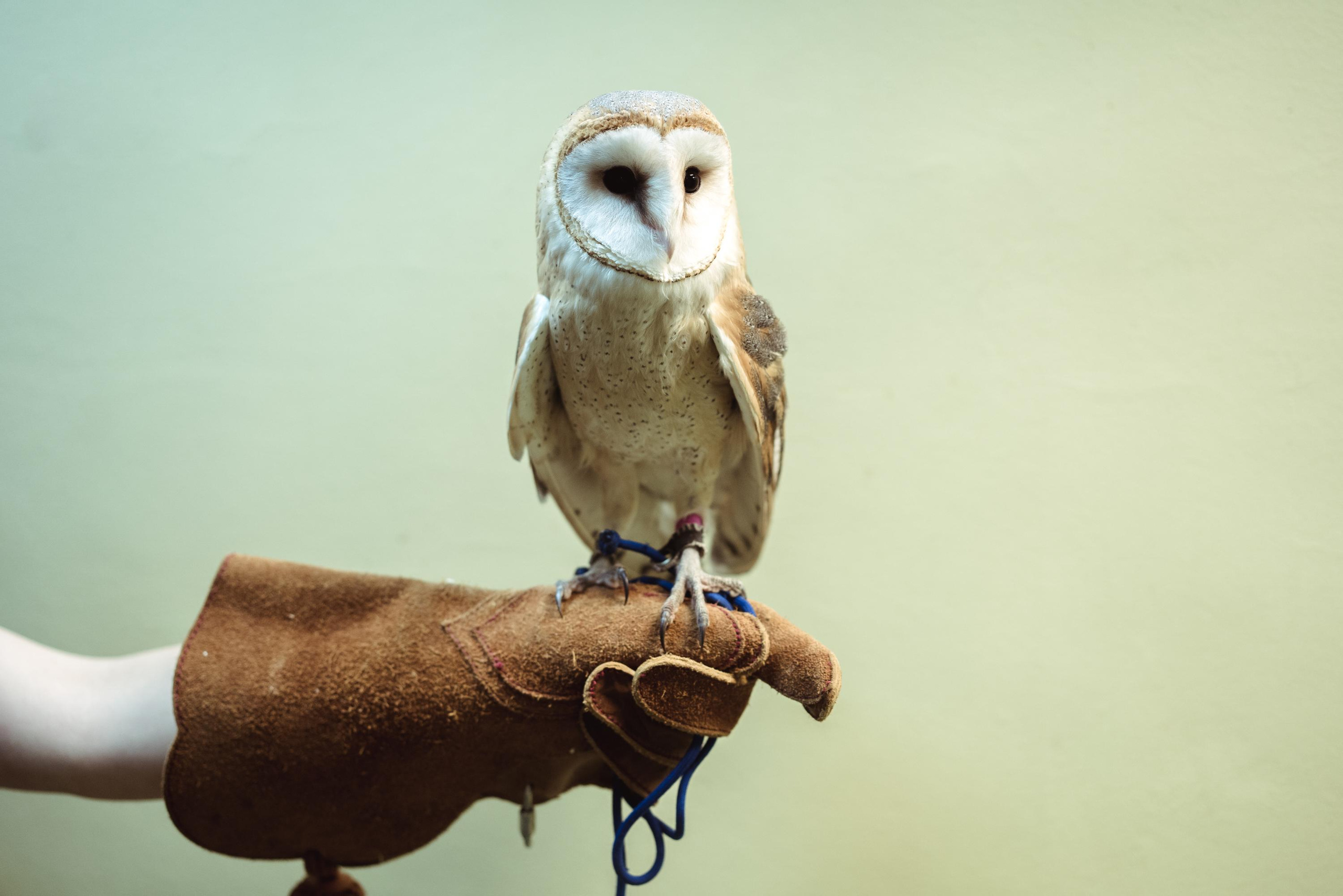 Photographer Stanislava Novgorodtseva. Stanislava Novgorodtseva — Photographer | Visual Artist | Educator