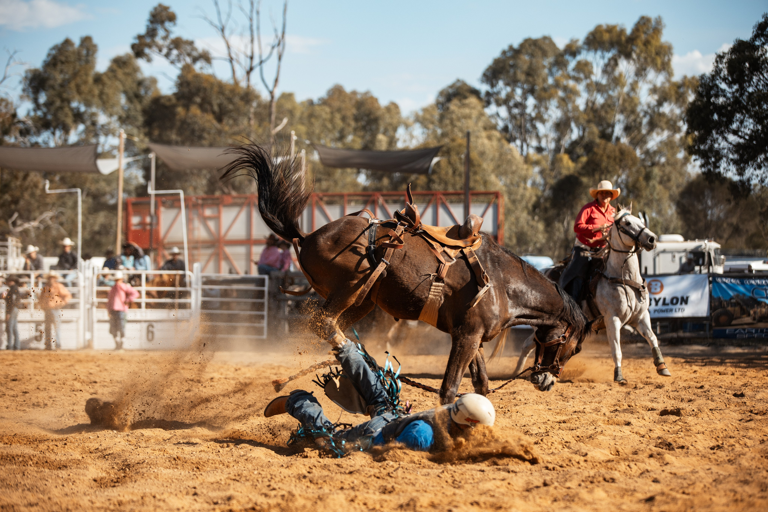 Selection of photos from different rodeos