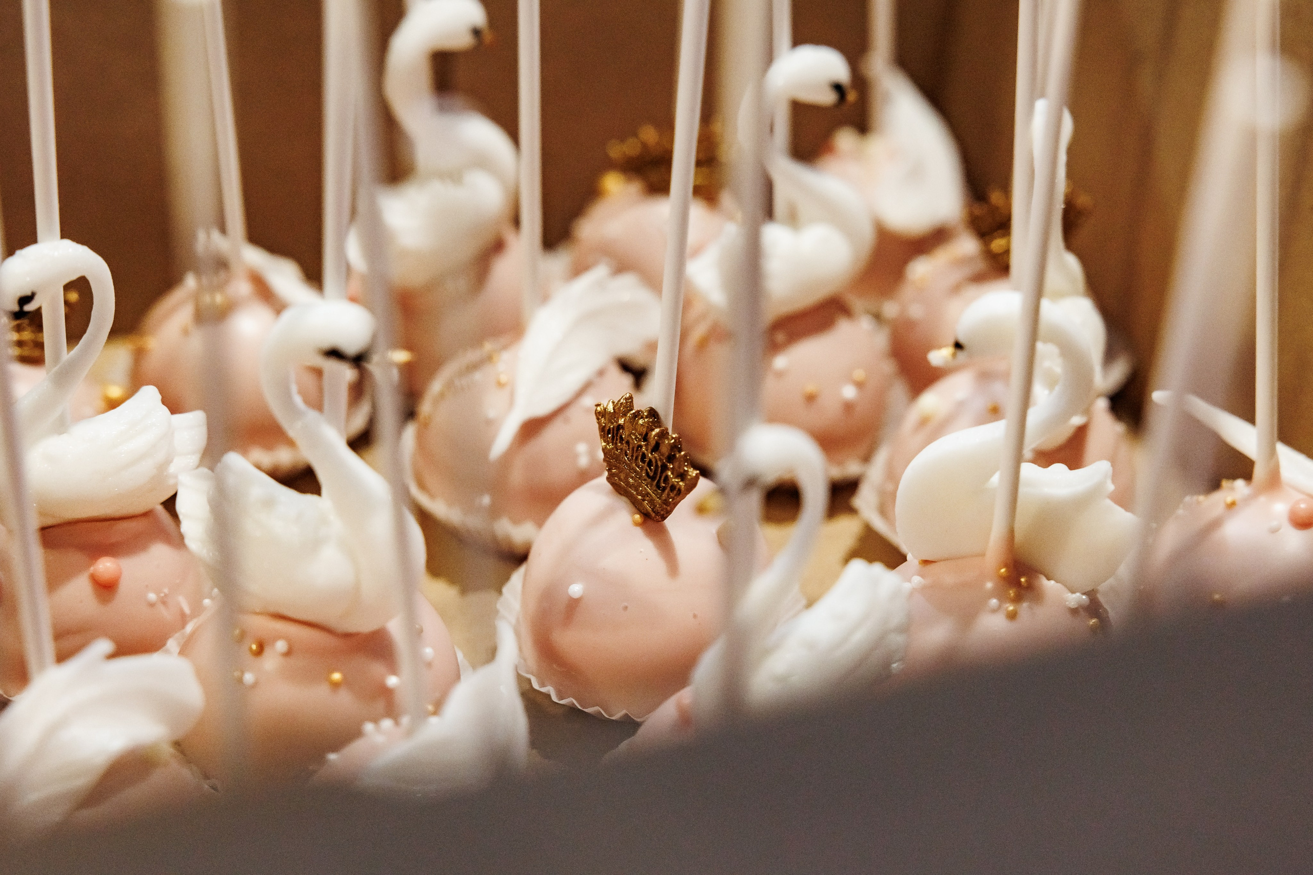 Честит Рожден Ден. Фотограф Ирина Йотова