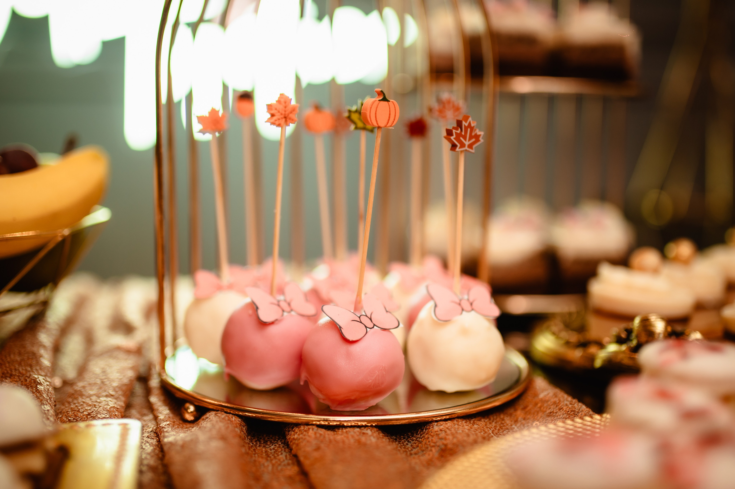 Iris Ioana — The First Chapter. Mihnea’s Perspective — Where your moments become timeless stories. Event photographer, Romania