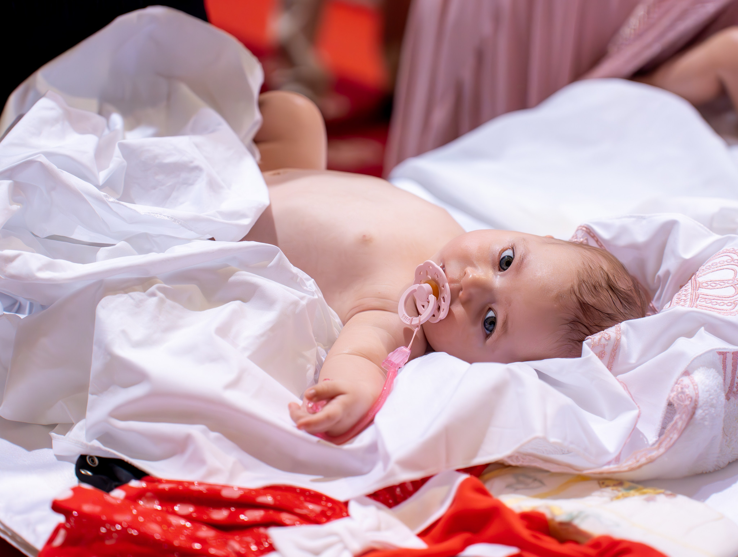 ✨ Portofoliu Botez ✨. Murgeanulucian