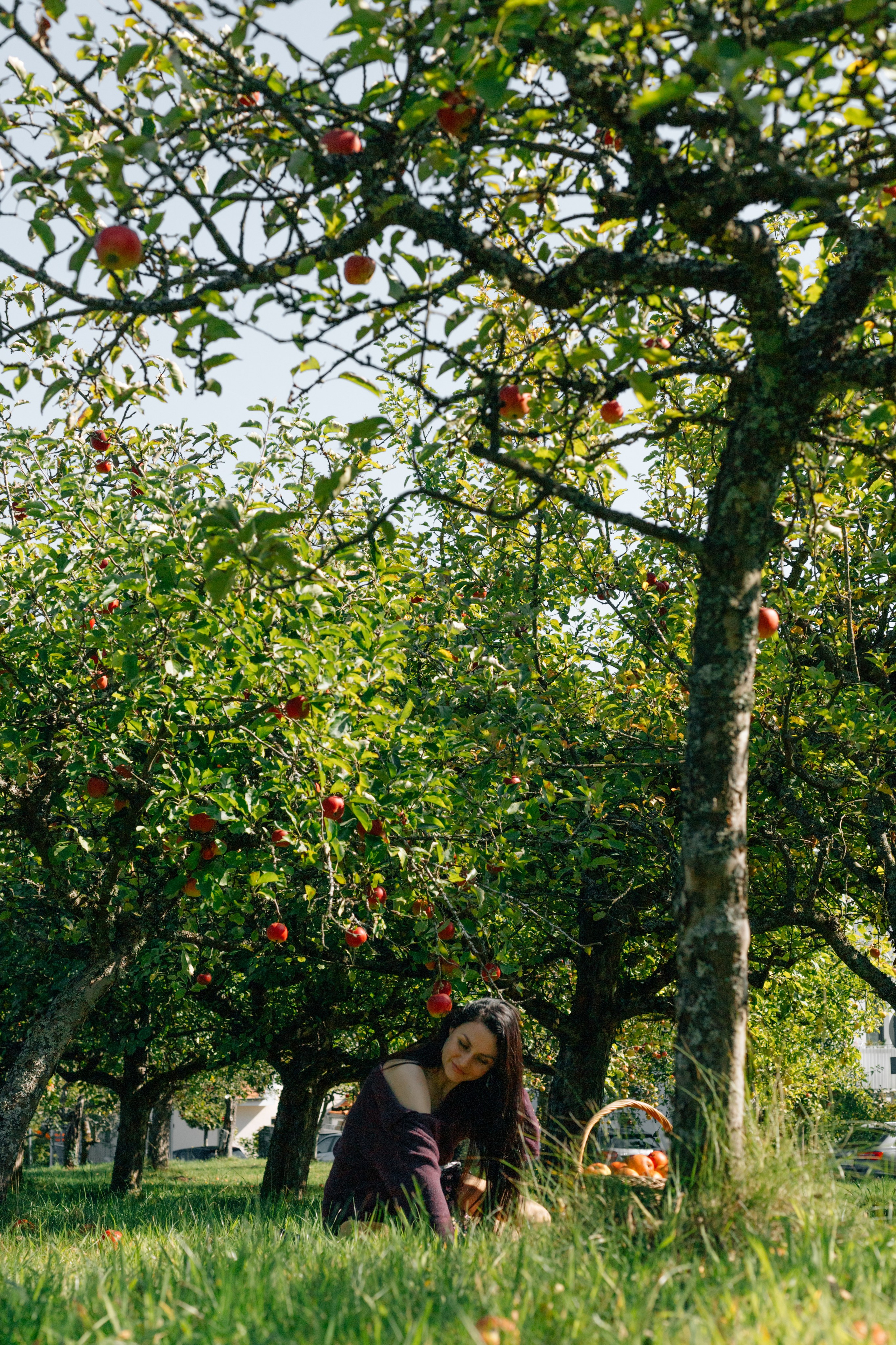 In Garten. PHOTOgrapher Germany MARBURG