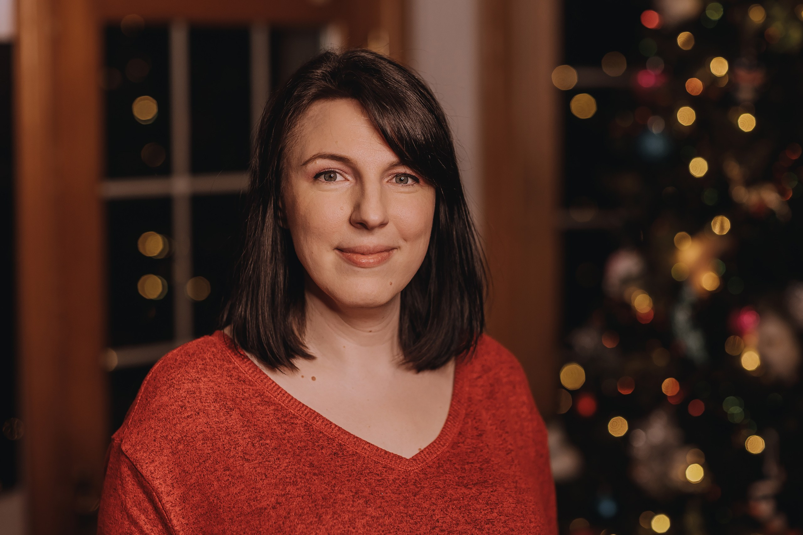 25.11.2023 Christmas Photoshoot 2. Wedding family event photographer in Chicago Nick Yushevich