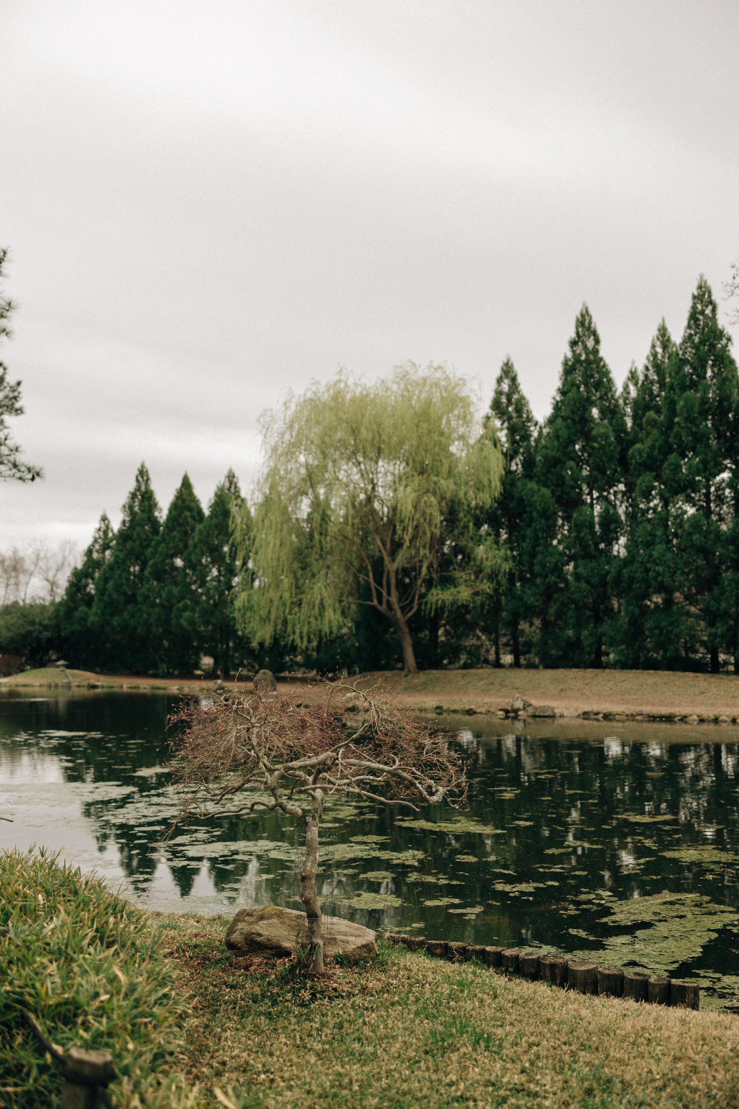 Tassia&Lilian Elopement. Sara Eulalia | Virginia Photographer