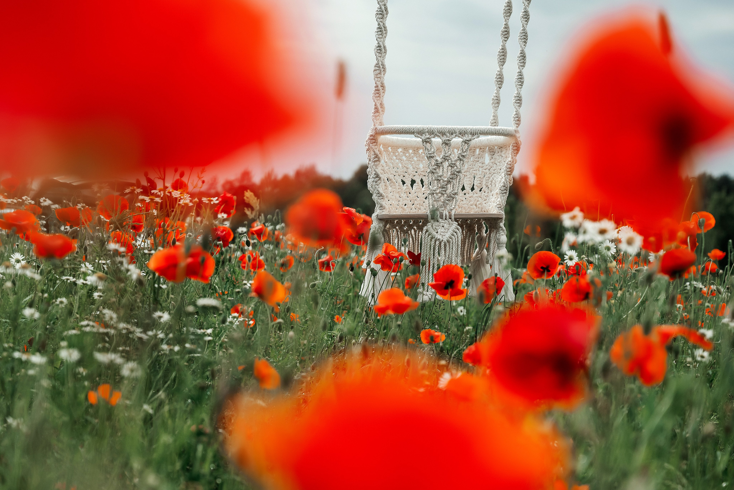 Качели. Ваш фотограф в Латгалии — Александра Юхневича!