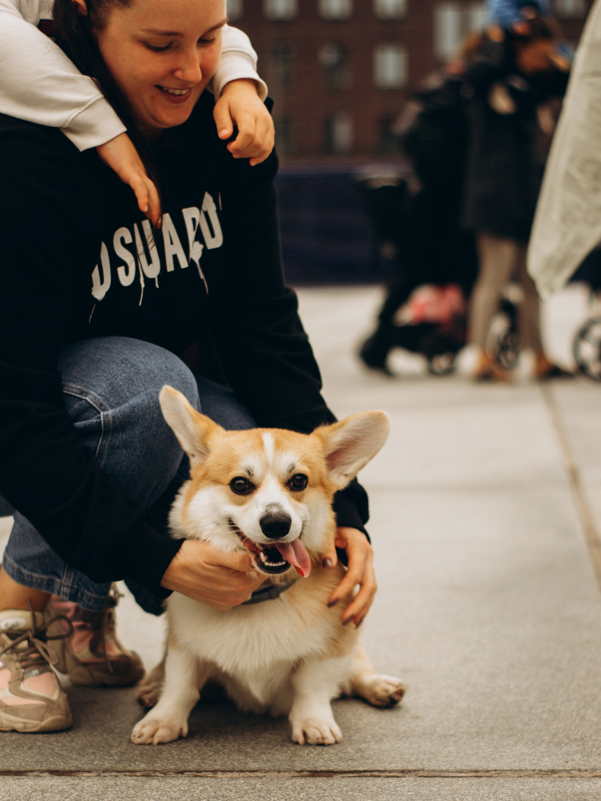 Corgi party, september. Kat Laisaar — Pet photographer in Tallinn