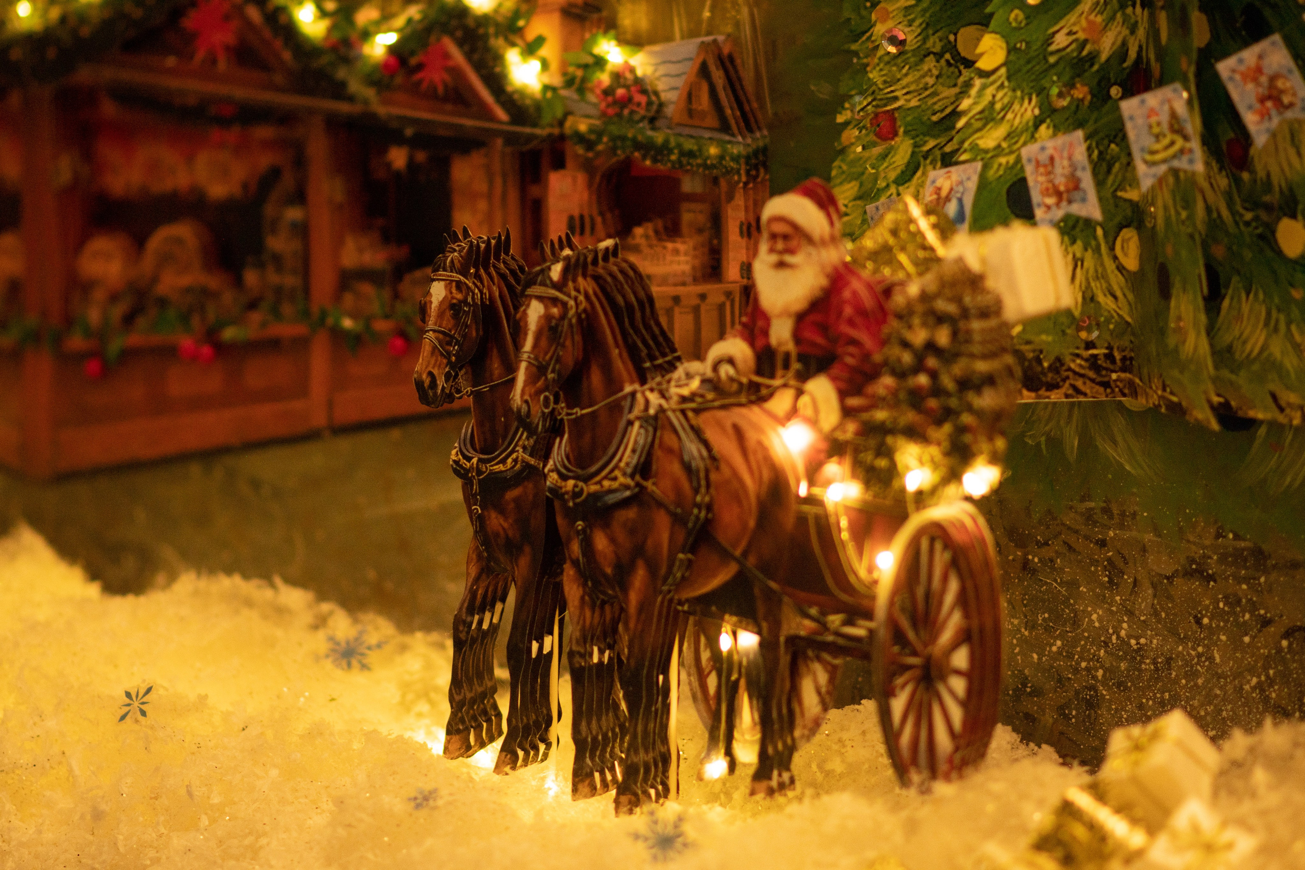 Проект. Семейный и детский фотограф