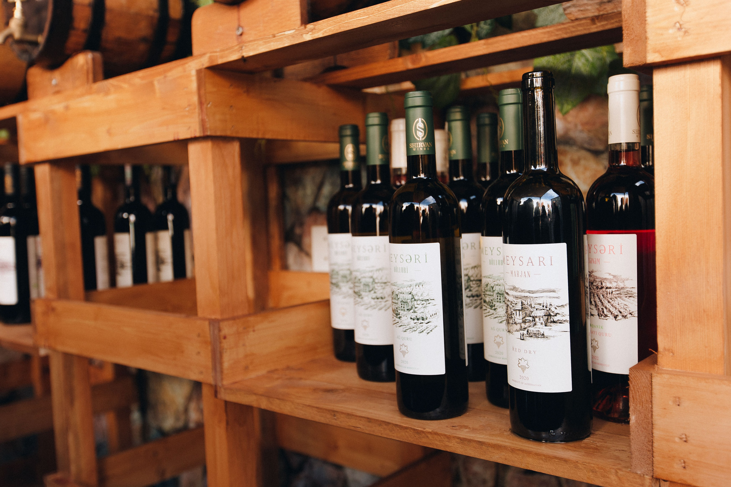 MEYSARI WINE FESTIVAL. Wedding&Event photographer Ismail Rzayev in Baku