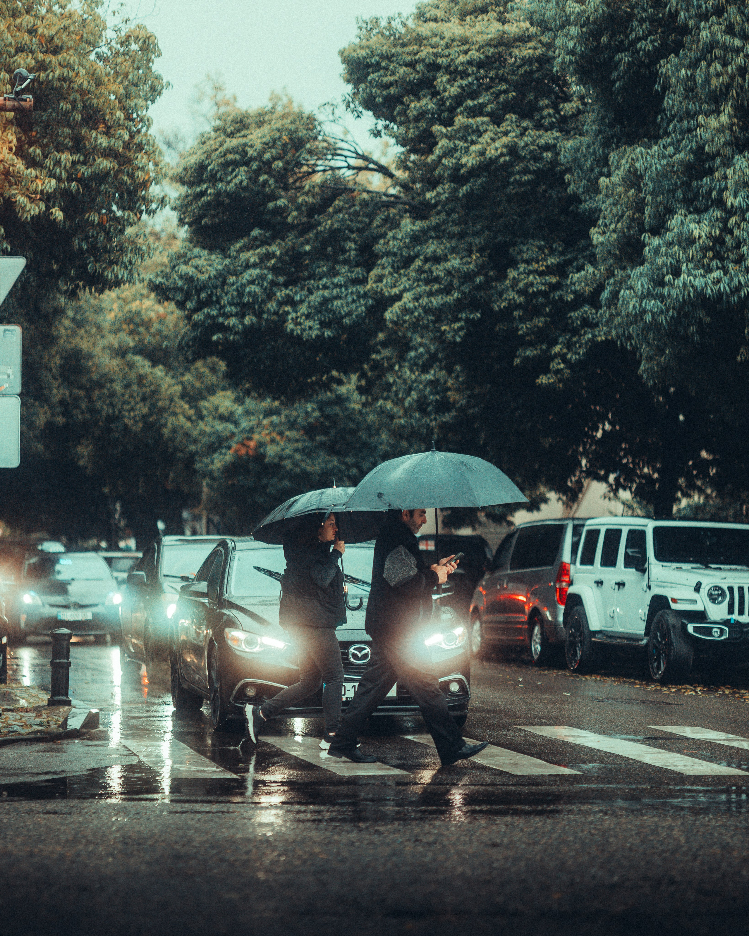 B A T U M I 2 0 2 5. Bspander