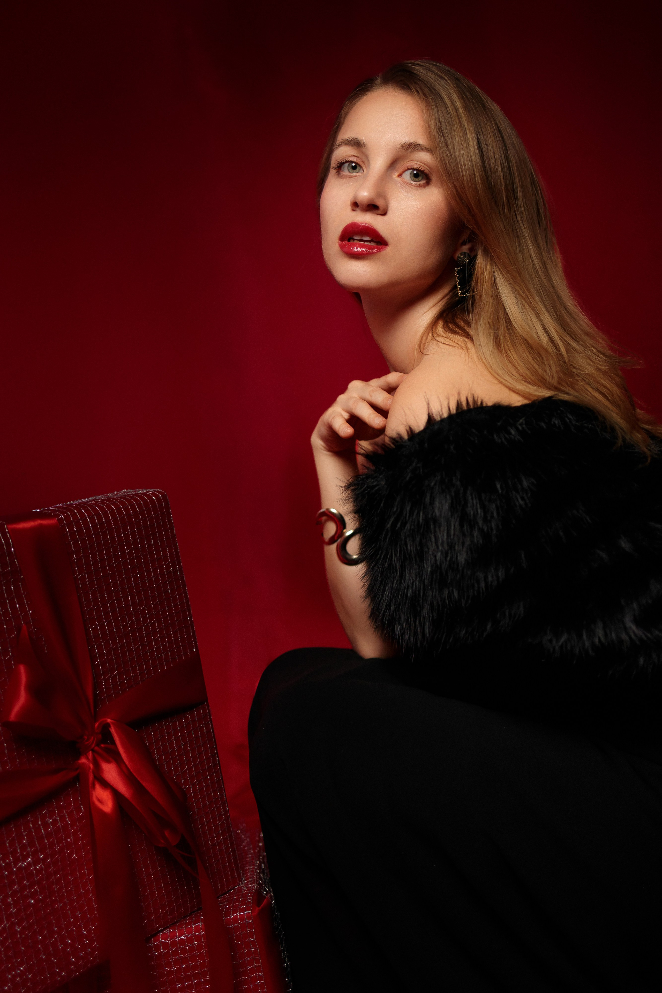 Merry Christmas. Elena Gorobets. Photographer in Zagreb