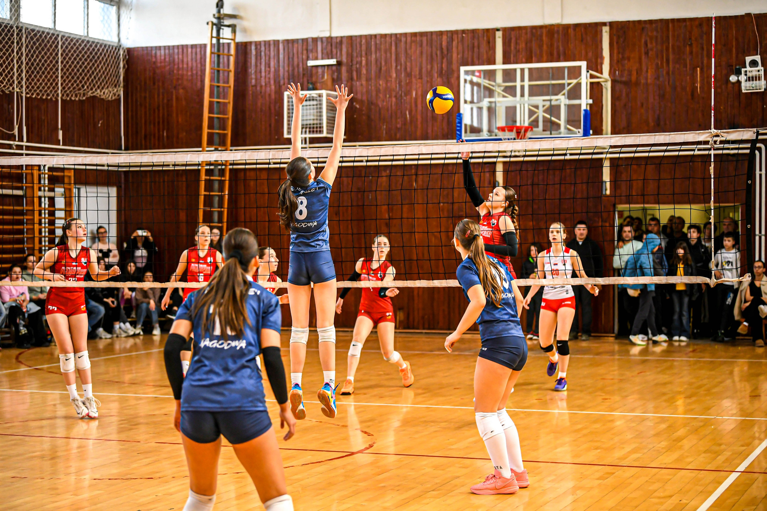Odbojka 22.03.  Radnicki KG — BlockVolley JAG. Foto Simic Jagodina