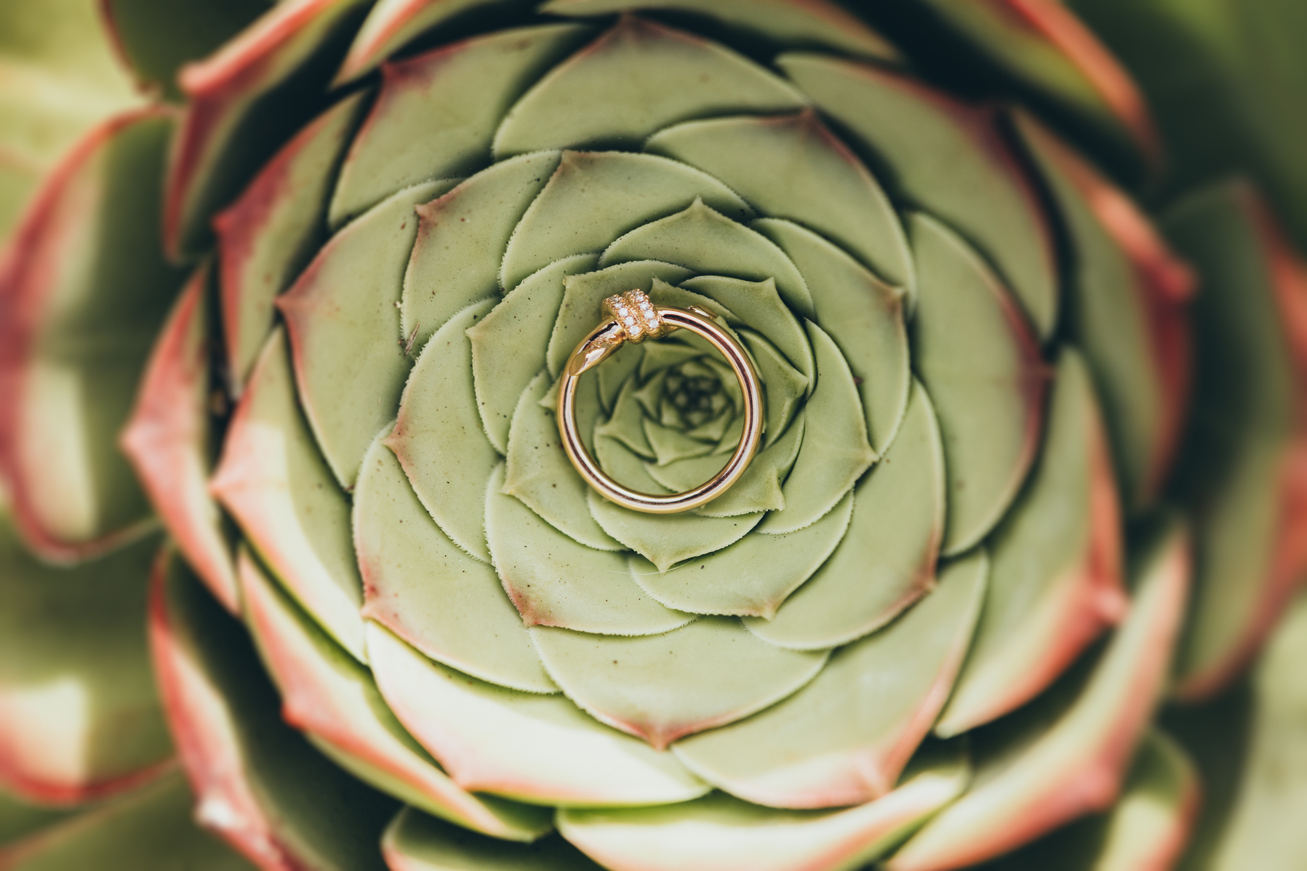 Artur & Anna. Photographer Tenerife Edgar Zubarev