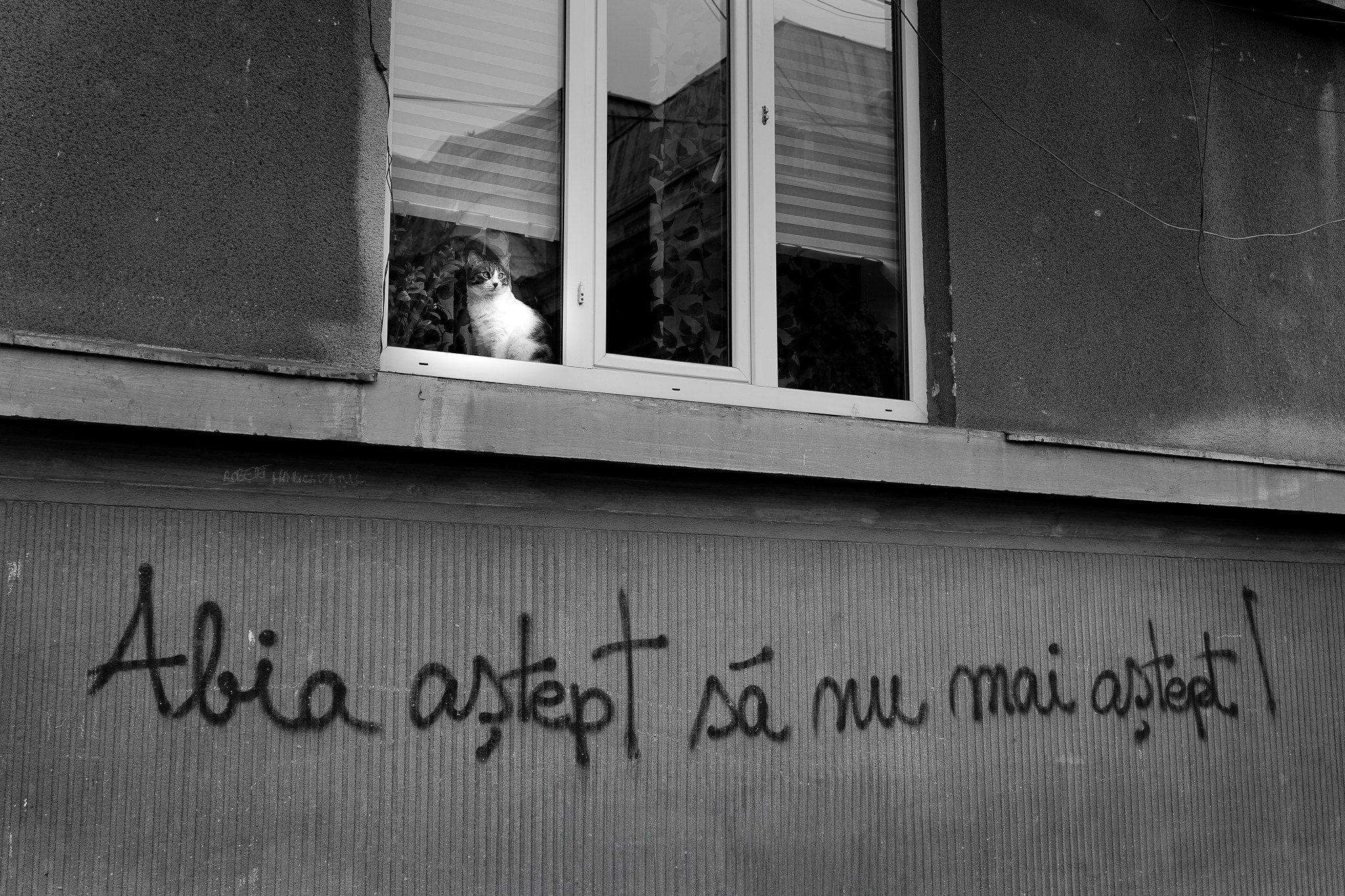 Fotografie de strada. Foto Studio — Fotograf de evenimente, nunti, botezuri, portrete