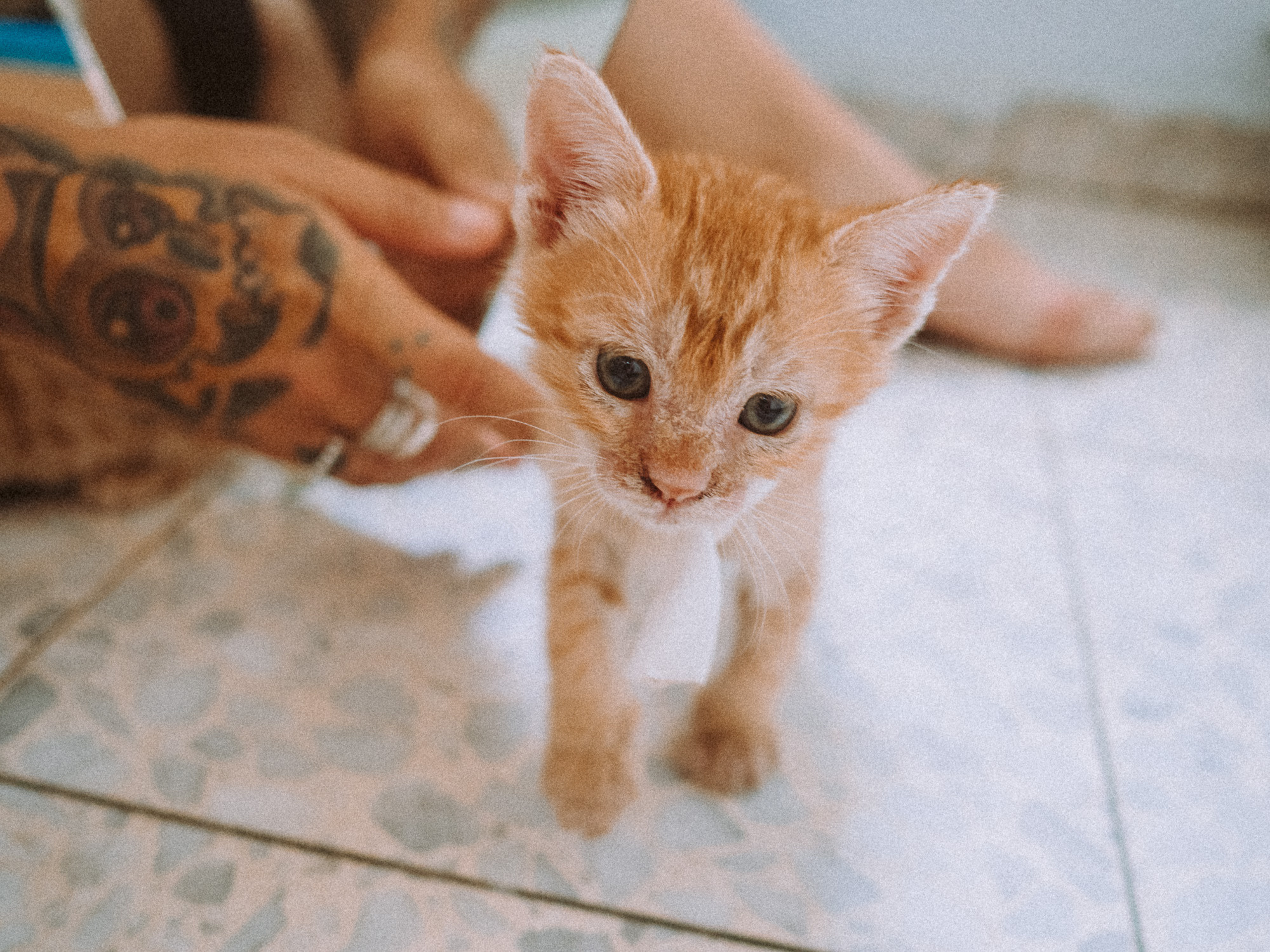 Юля. Film portrait photographer