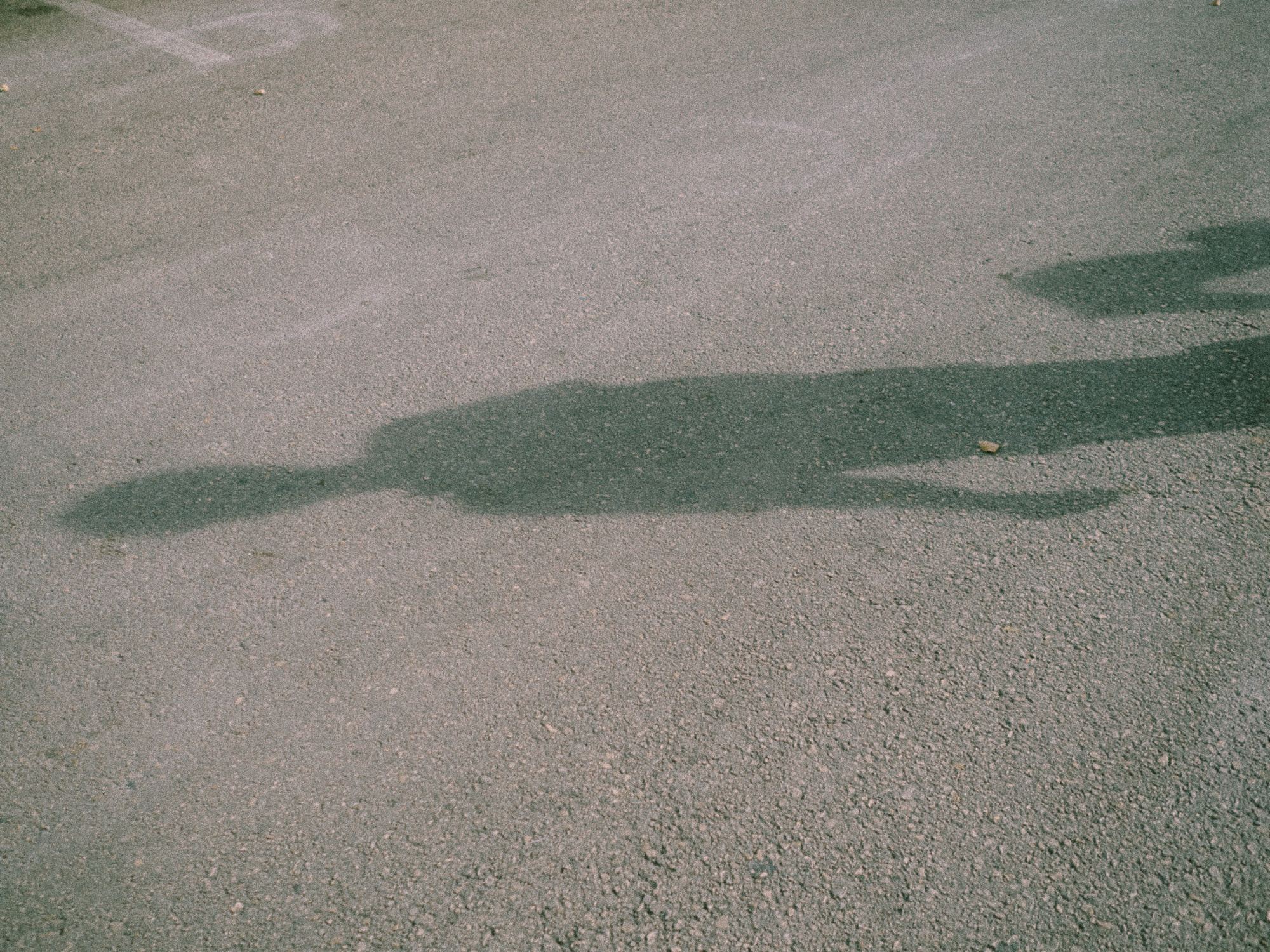 Андрей. Film photographer