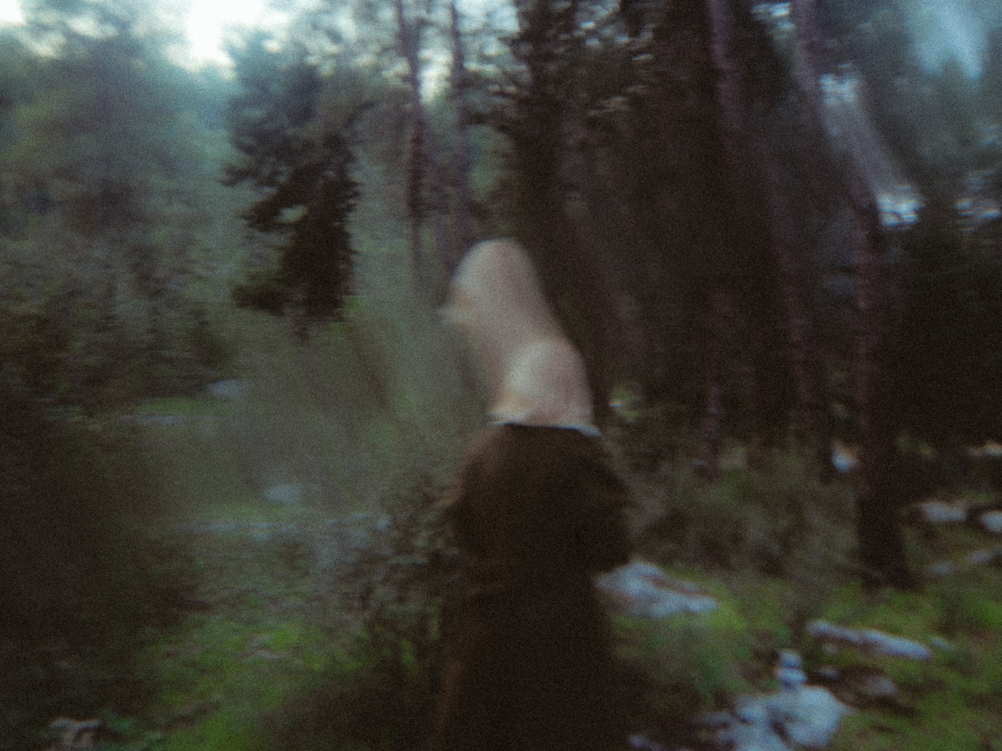 Катя. Film portrait photographer