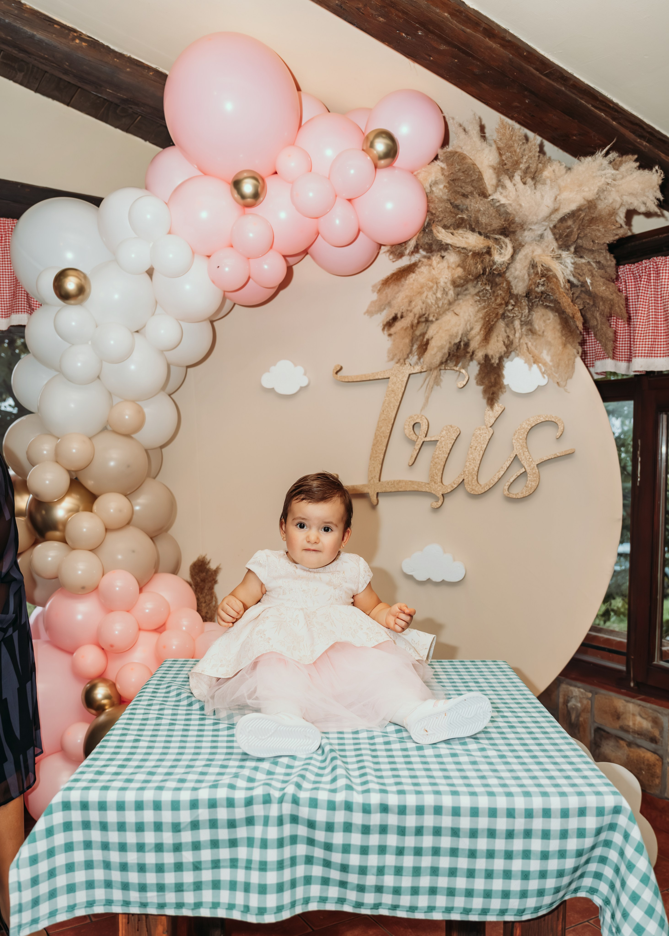 FOTOGRAFISANJE ROĐENDANA. DEČIJI FOTOGRAF BEOGRAD|NOVOGODISNJE FOTOGRAFISANJE|CAKE SMASH