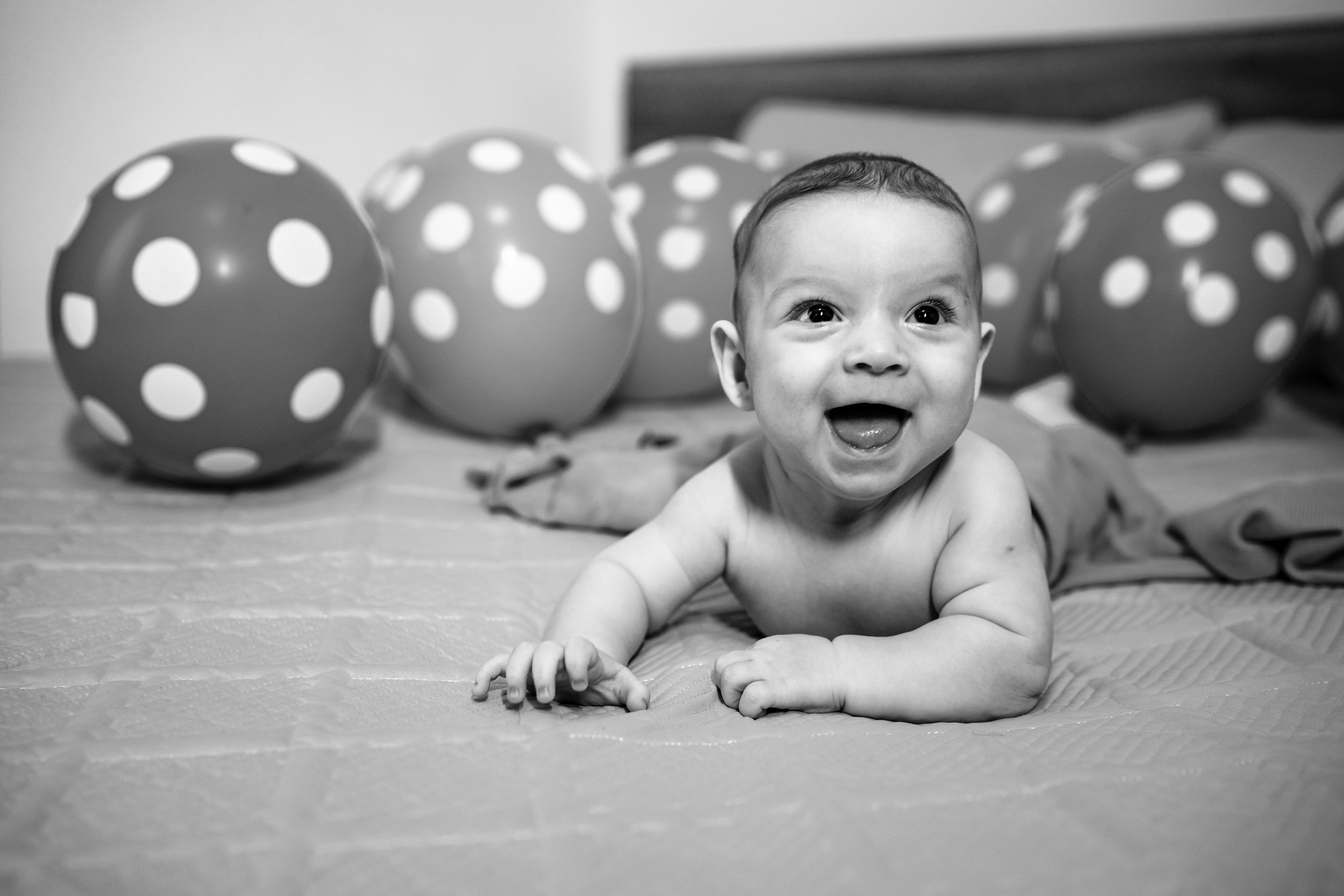 Sweetest devotion. Alexandru. Acasă