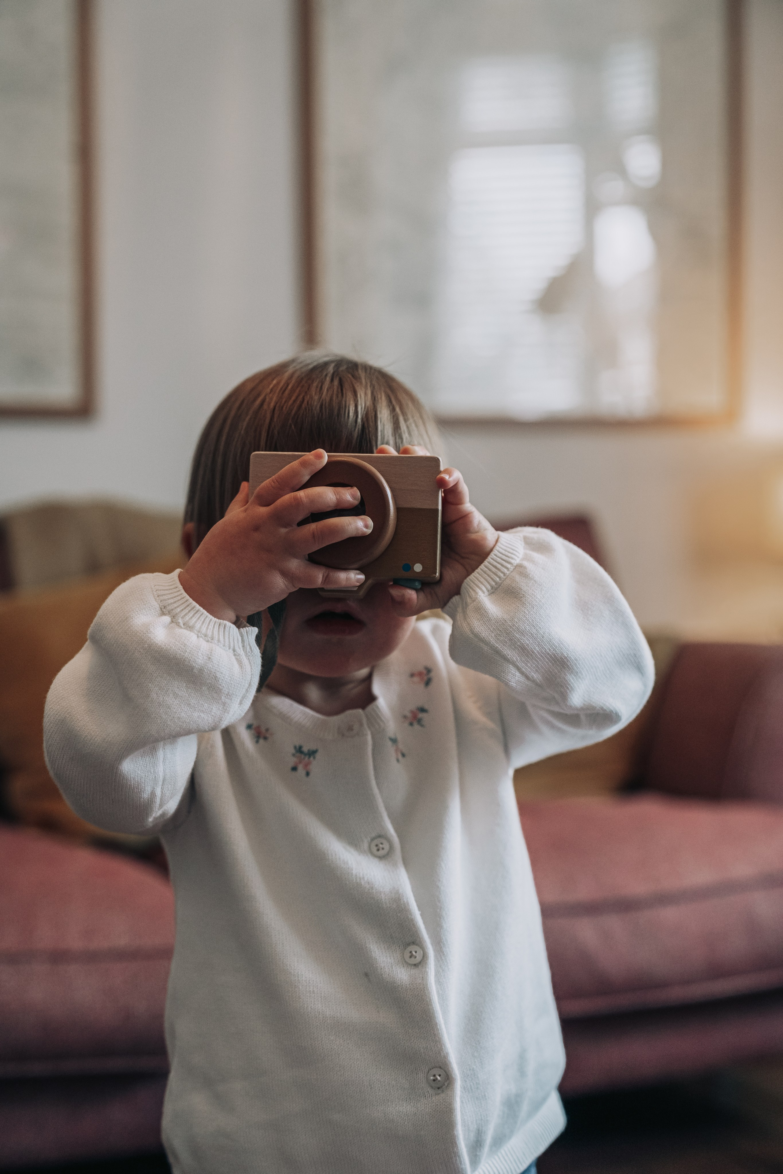 Toddler photography ideas for in home photoshoot.