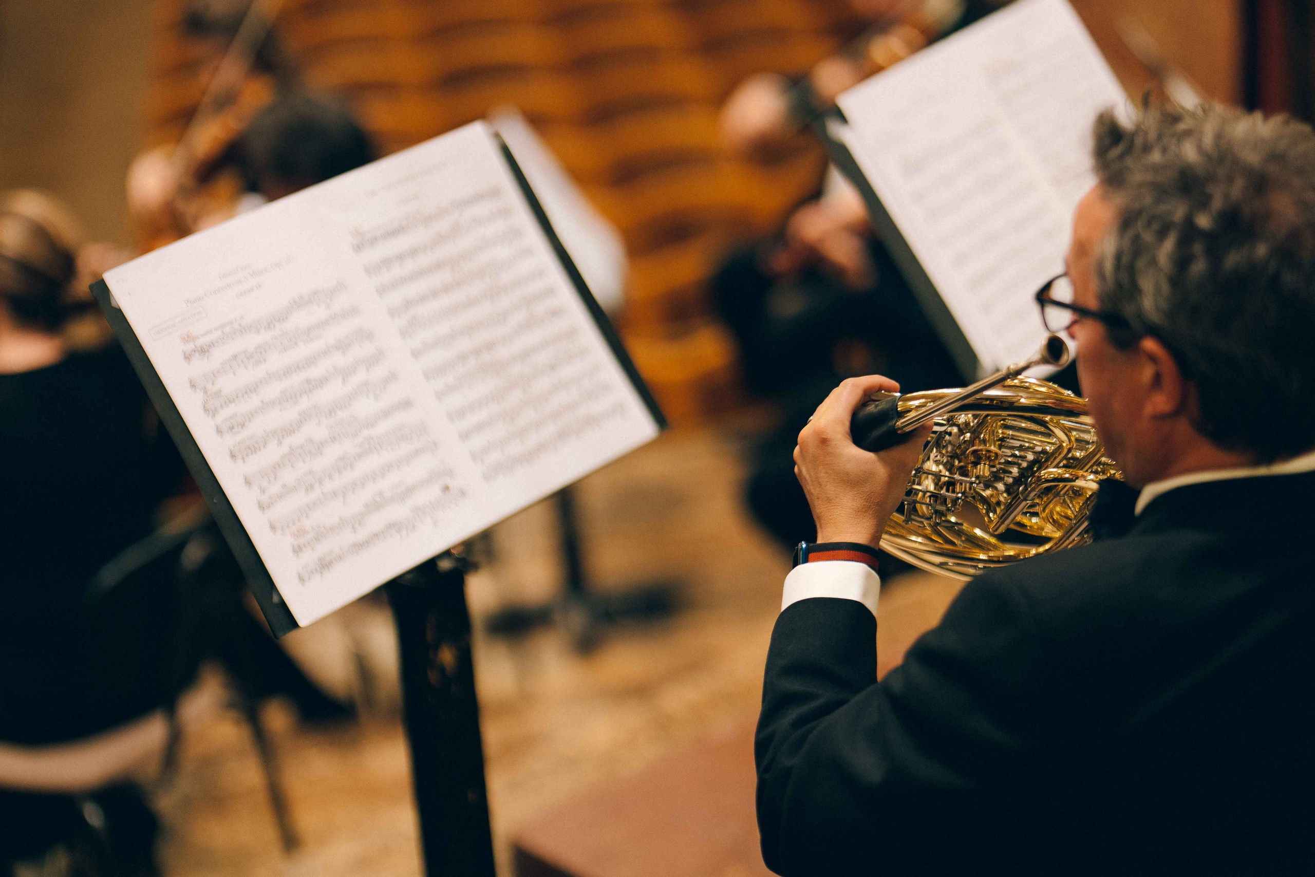 MUSIKVEREIN (VIENNA). Wedding&Event photographer Ismail Rzayev in Baku