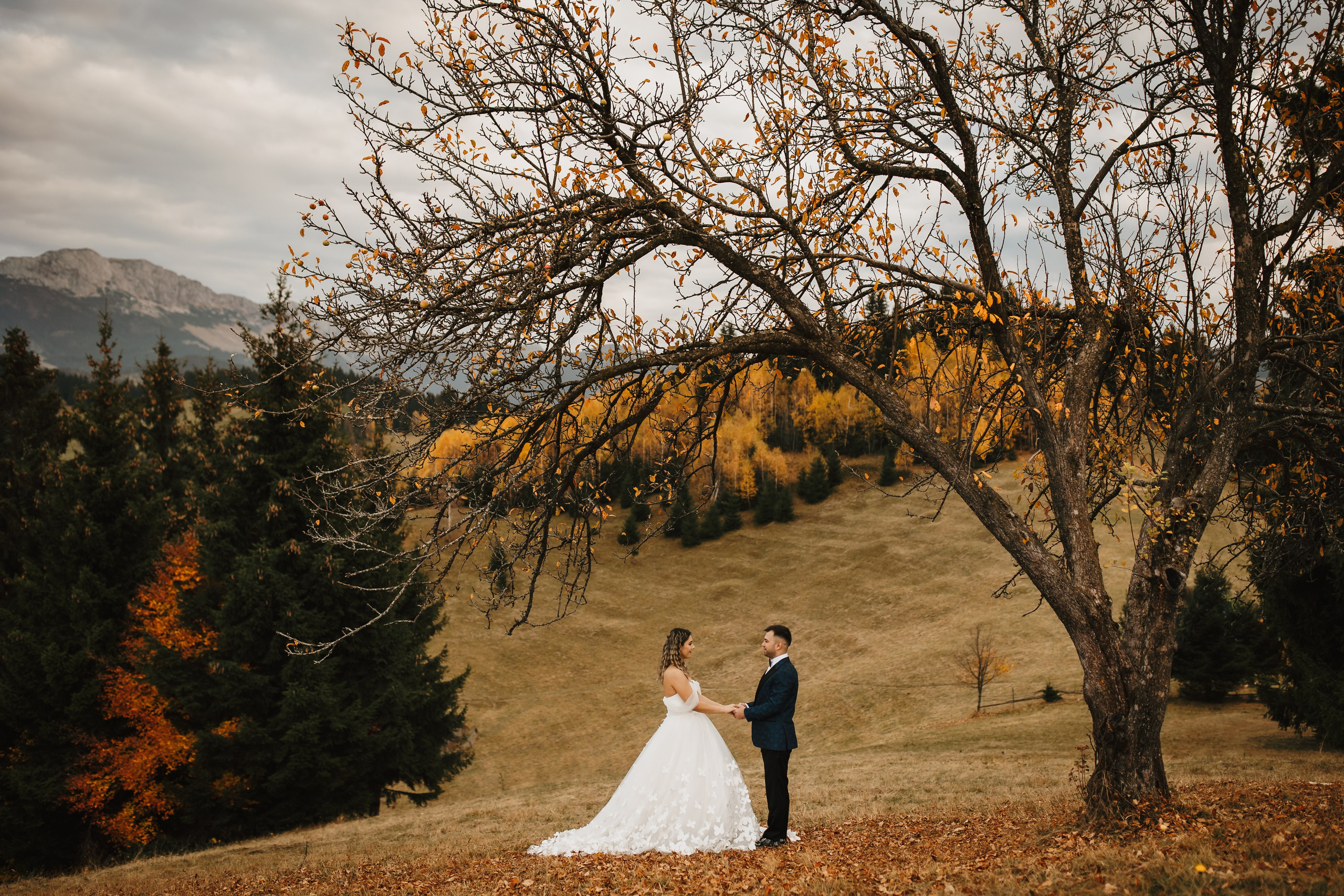 Alina & Razvan. Fotograf de eveniment din Buzău | Bogdan