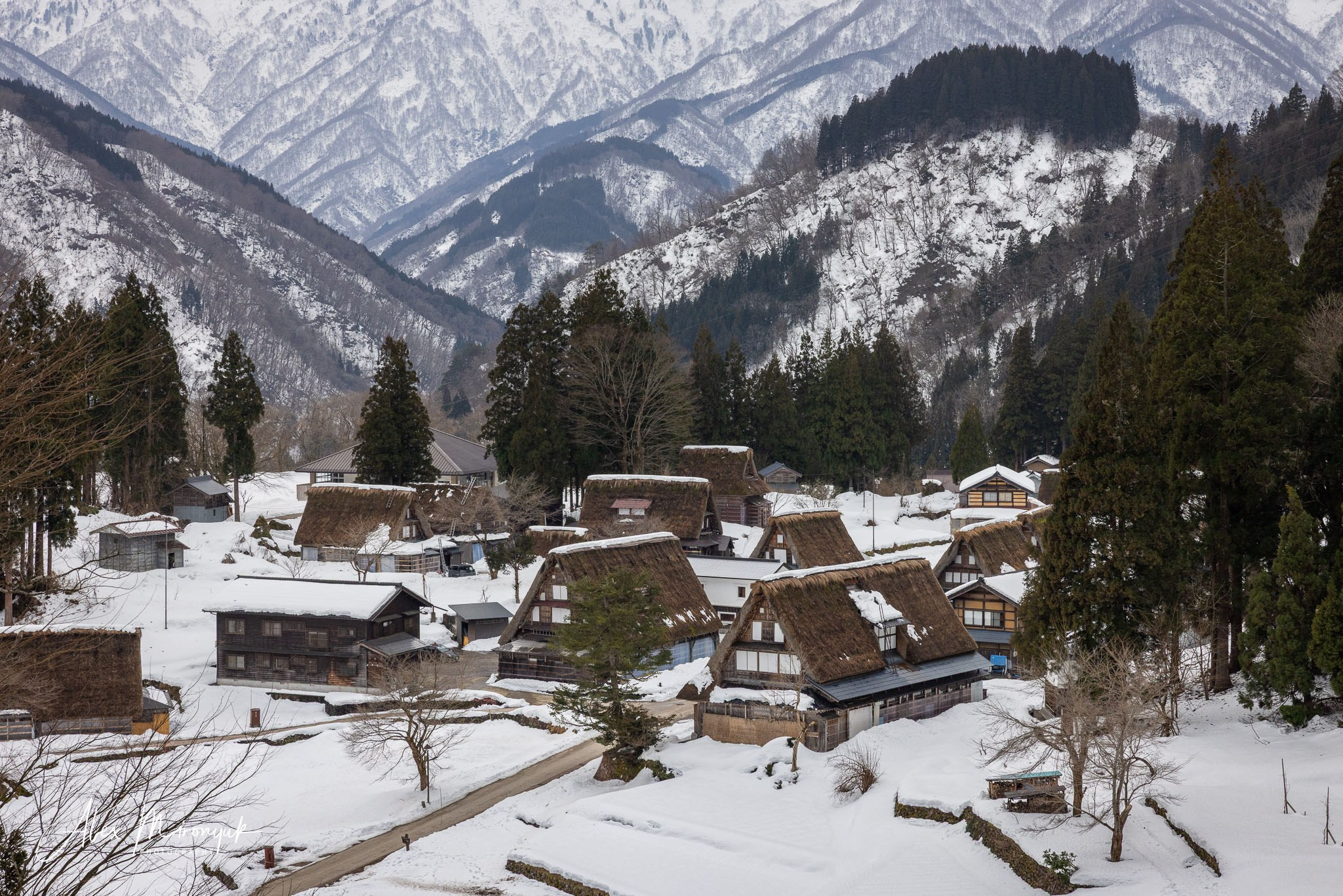 Winter Japan: Snow Monkeys, Castles & Timeless Villages. Pet, Senior, Landscape, portrait studio, photographer in Miami and Sou