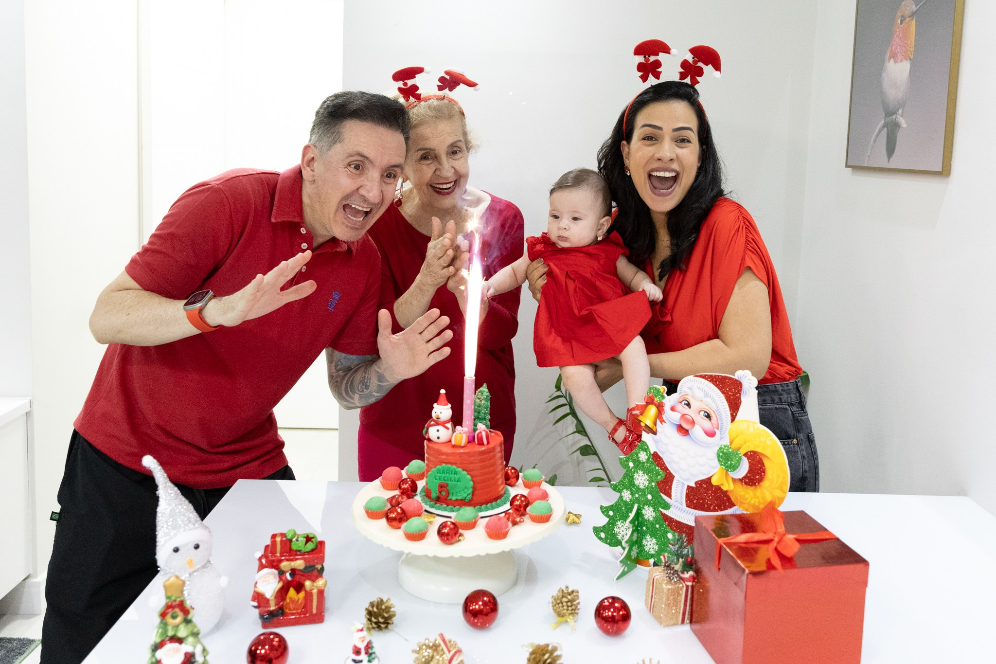 Festas e Eventos. Priscilla Leão, fotógrafa em São Paulo