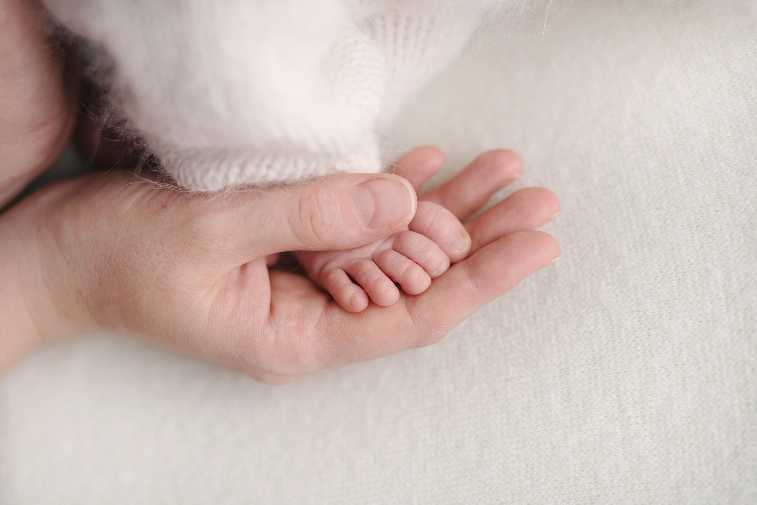 Клим. Фотограф новорожденных и детей первого года Евгения Михалькевич