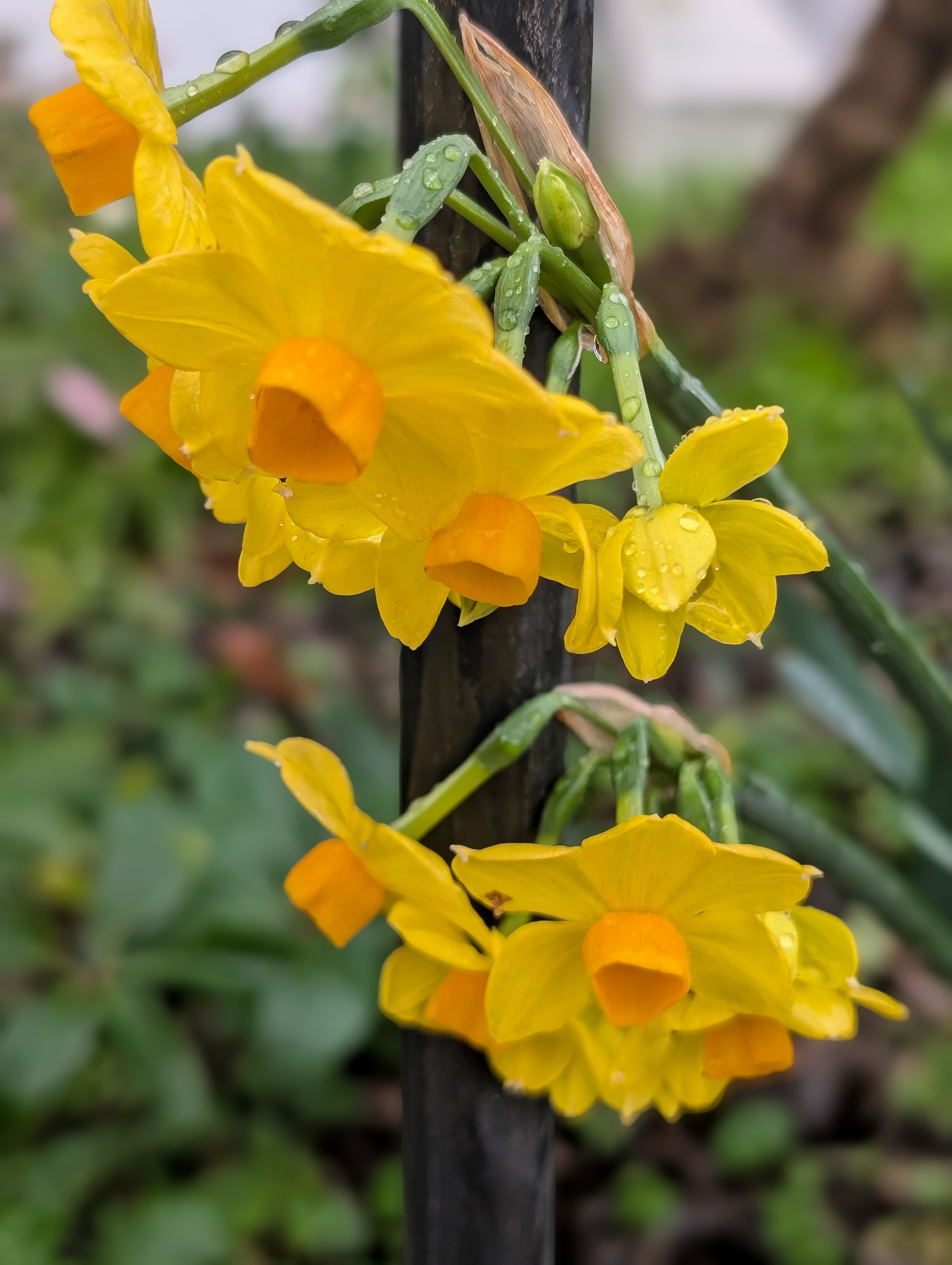 Stories. Photographer in London and Europe. Фотограф в Лондоне и Европе