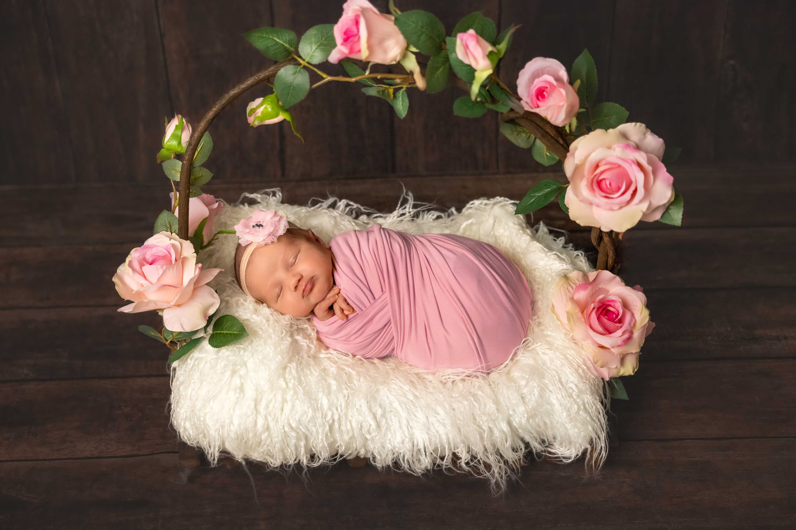 Newborn photos. Newborn photographer in Tampa Bay Area, FL
